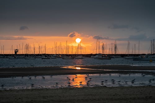 Photo of Beach During Golden Hour