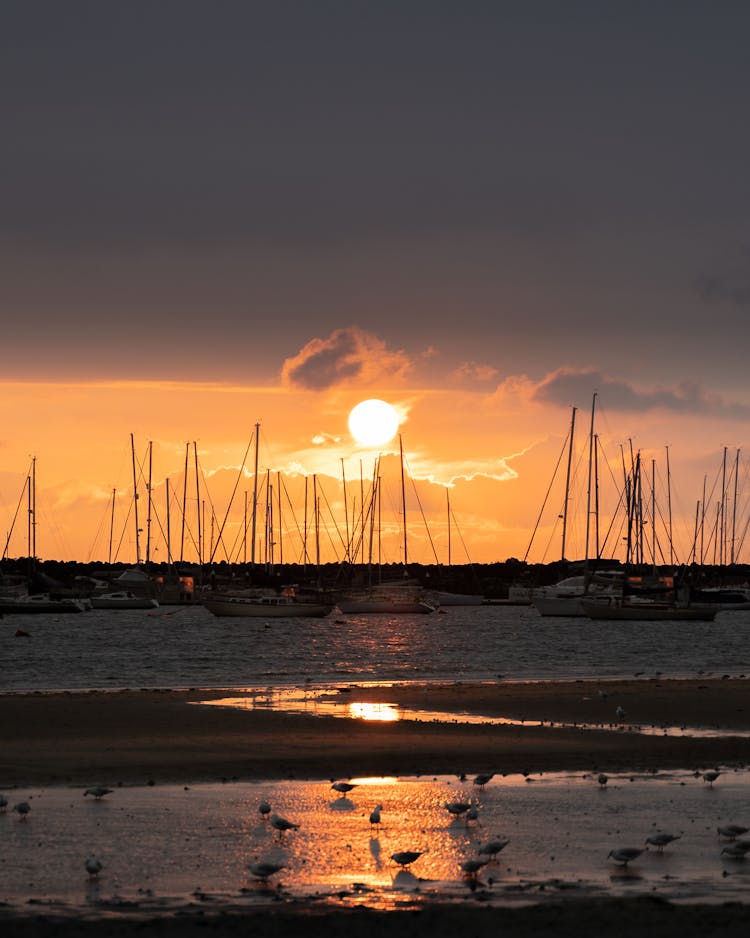 Silhouette Of Sailboats Sailing On The Sea 