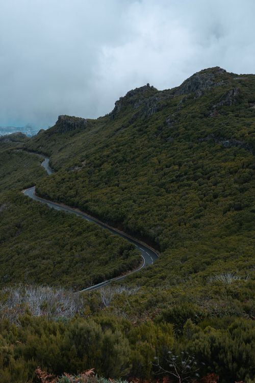 Free Dramatic view of a winding road through Madeira's lush, mist-covered mountains, surrounded by dense greenery. Stock Photo