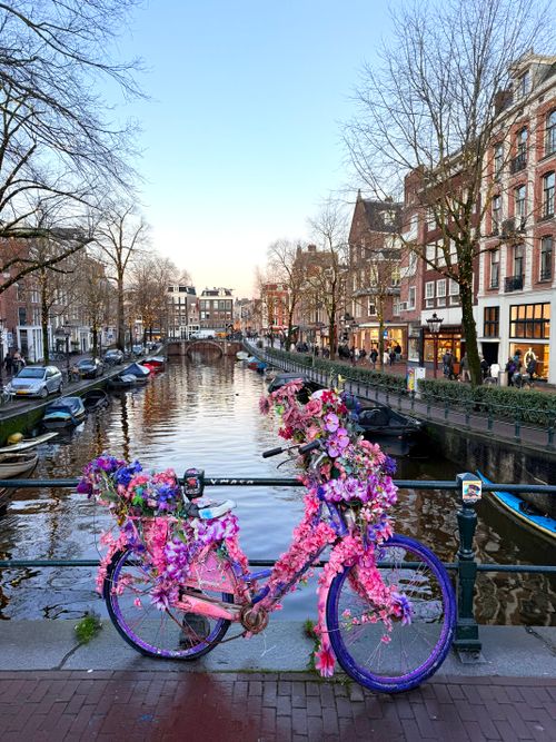 Free Bright pink bike adorned with flowers on an Amsterdam canal bridge in spring. Stock Photo