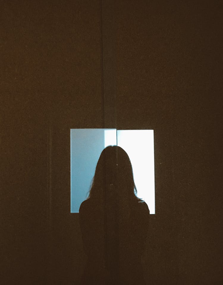 Silhouette Of A Person