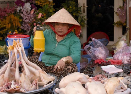 Foto stok gratis ayam, makanan Asia, makanan vietnam