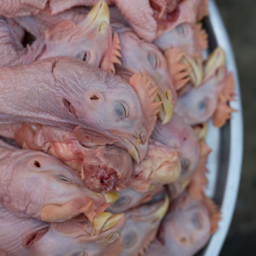 Foto stok gratis ayam, makanan Asia, makanan vietnam