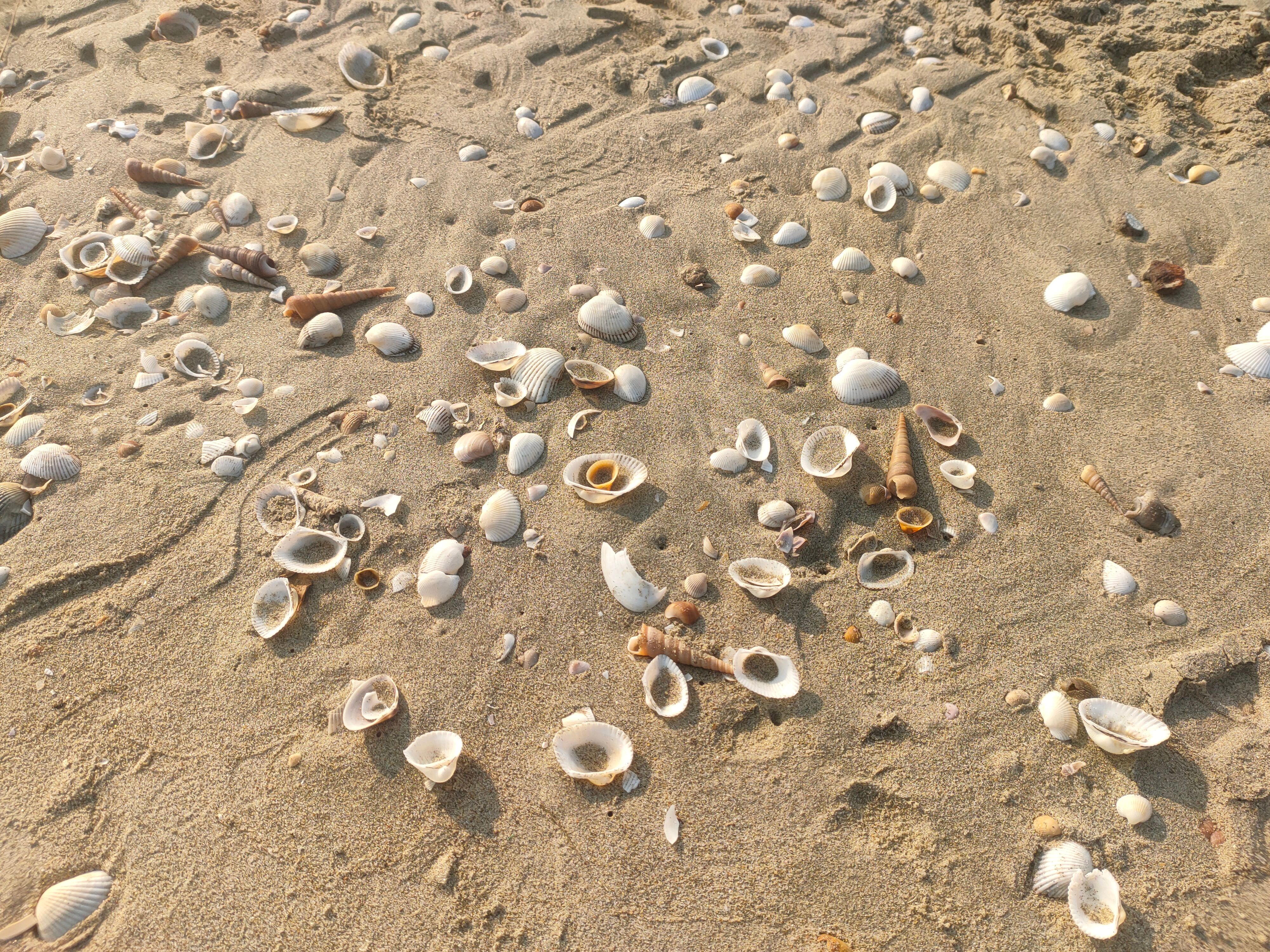 Catch the shoreline in soft layers and clean detail