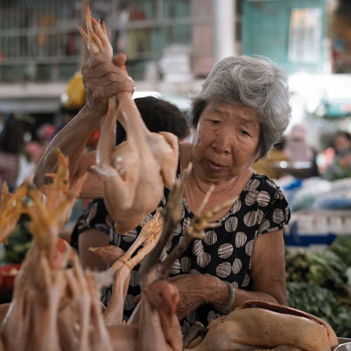 Free stock photo of asian woman, asiatic, chicken