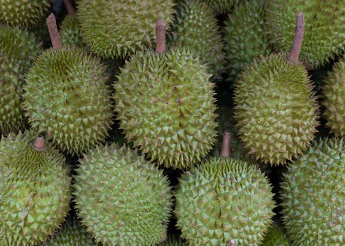 Foto stok gratis ayam, makanan vietnam, pasar Ikan