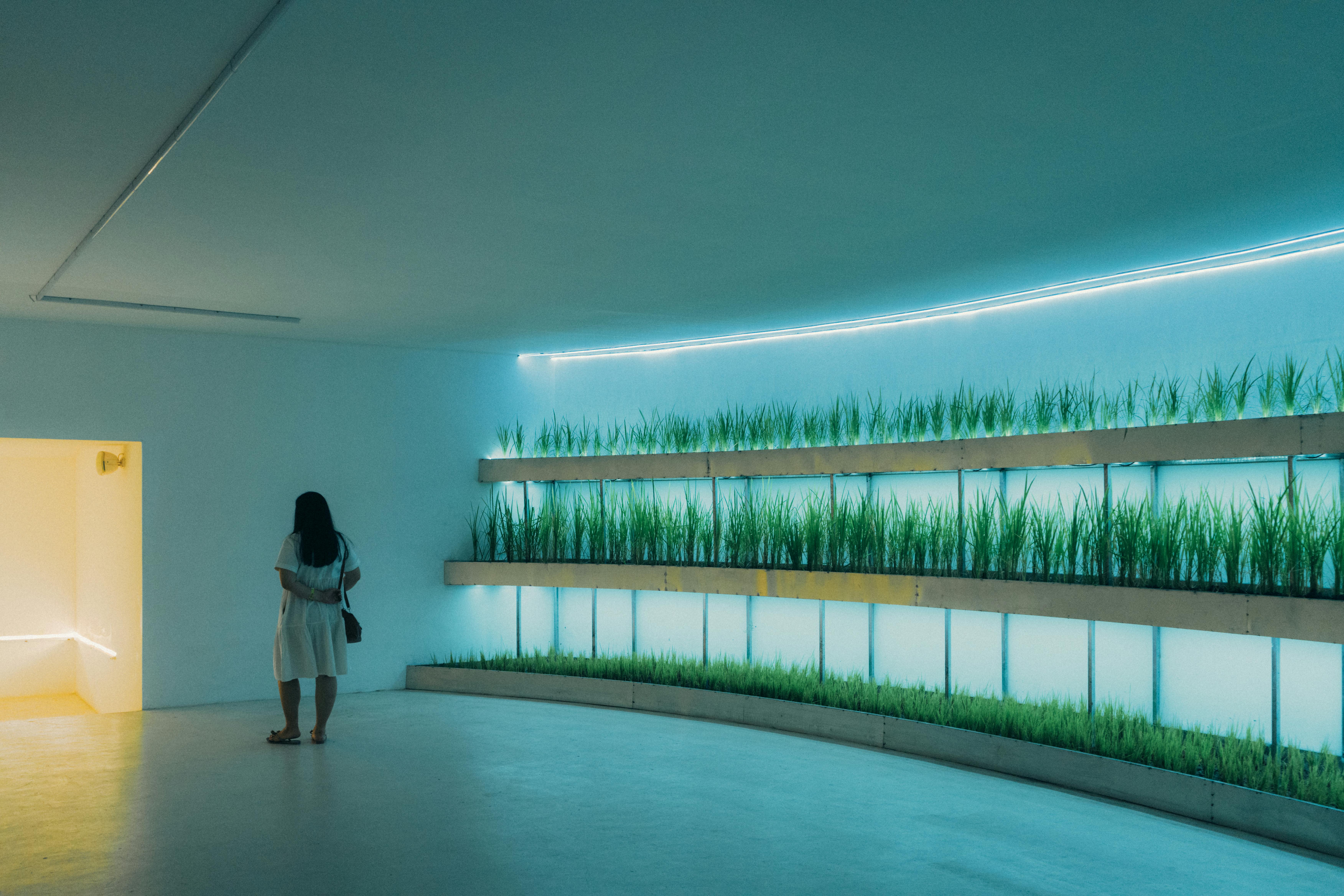 Revolutionizing Scent: Breakthrough Fragrance Technologies