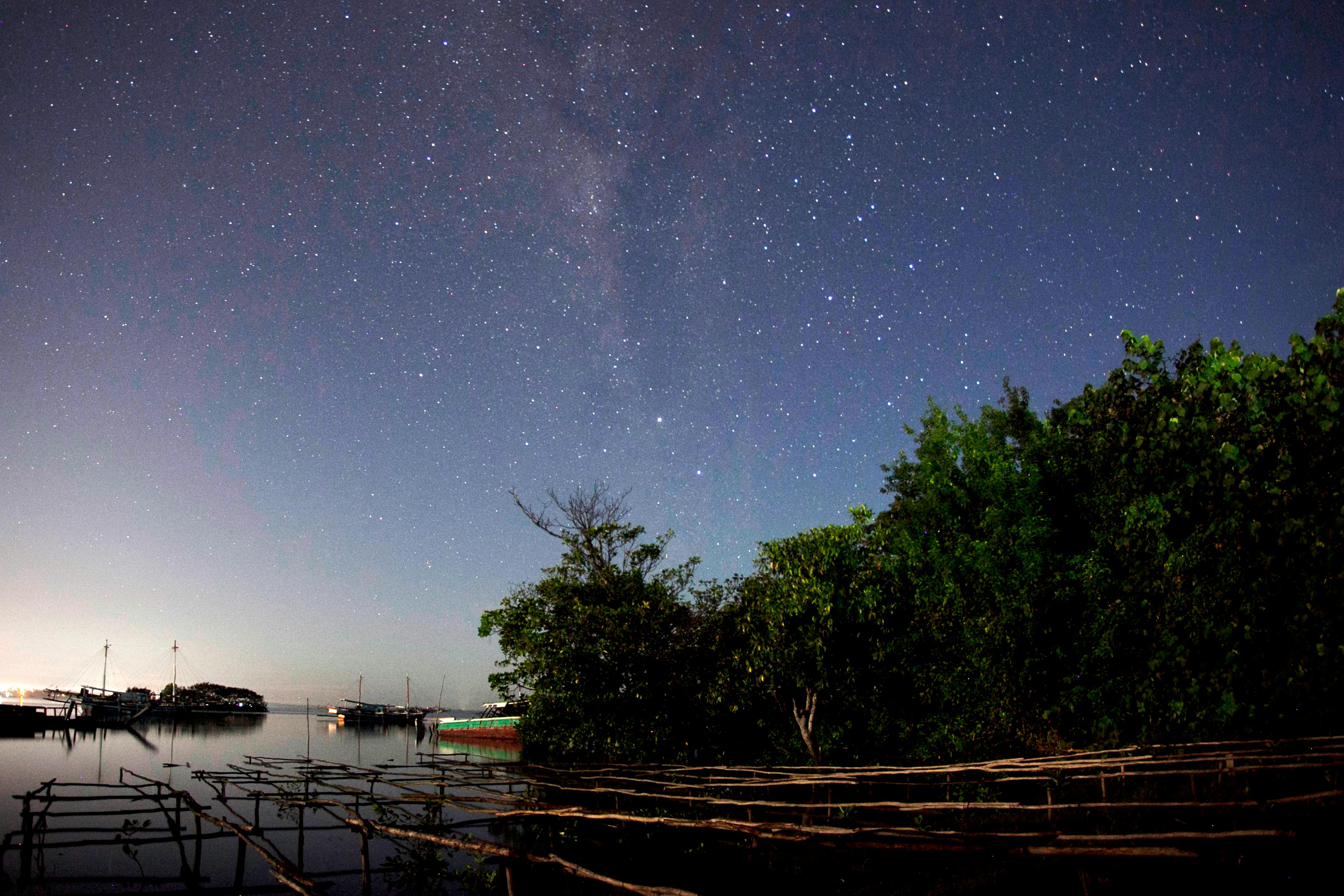 Elevated boardwalk over Chek Jawa Wetlands at low tide on Pulau Ubin, Singapore