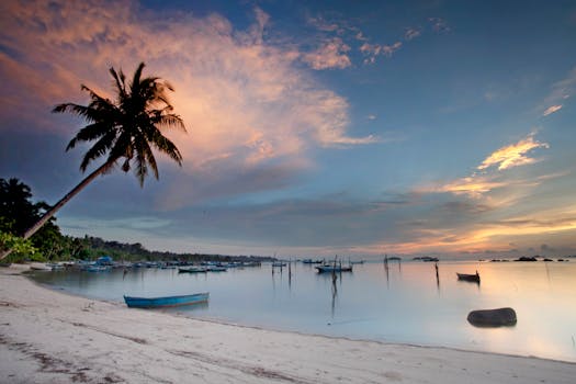 Serene tropical beach scene at sunrise with palm tree and boats.