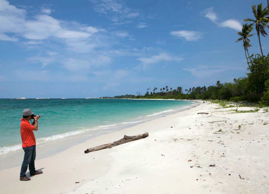 A photographer captures a scenic tropical beach with palm trees and blue sky.