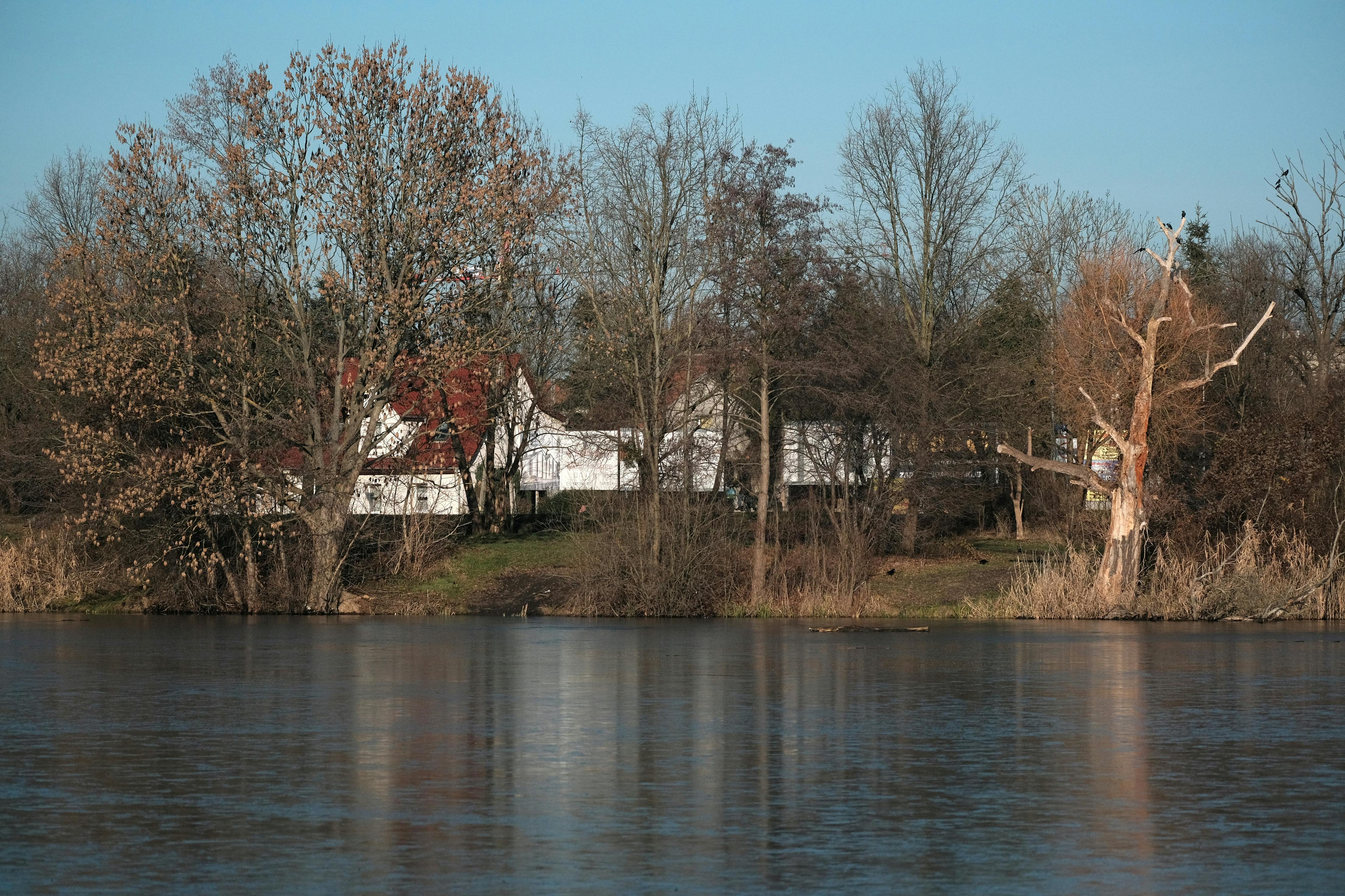 autumn fall nature season - Photo by Roman Biernacki on Pexels