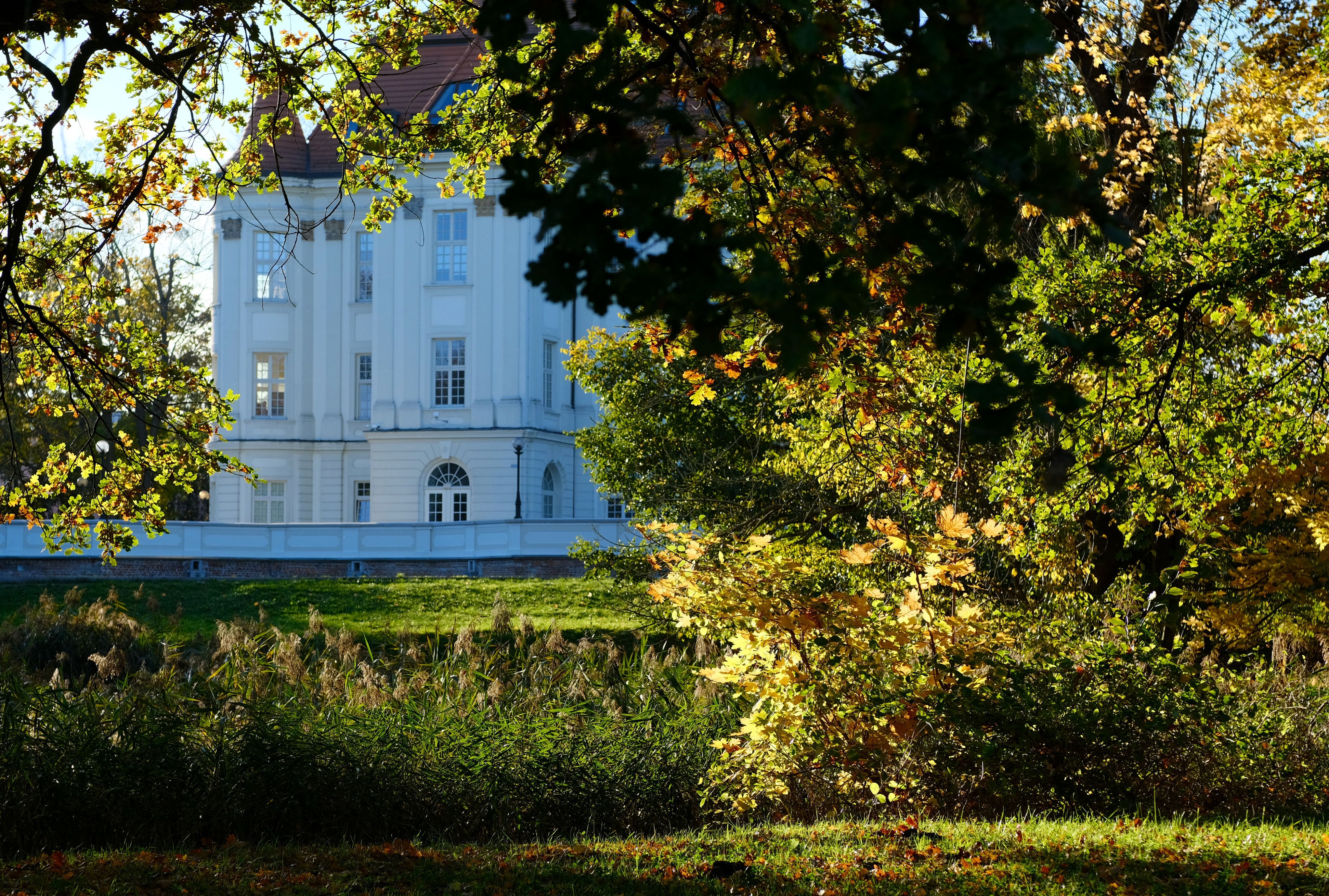 Elegant White Building Amidst Vibrant Autumn Foliage · Free Stock Photo