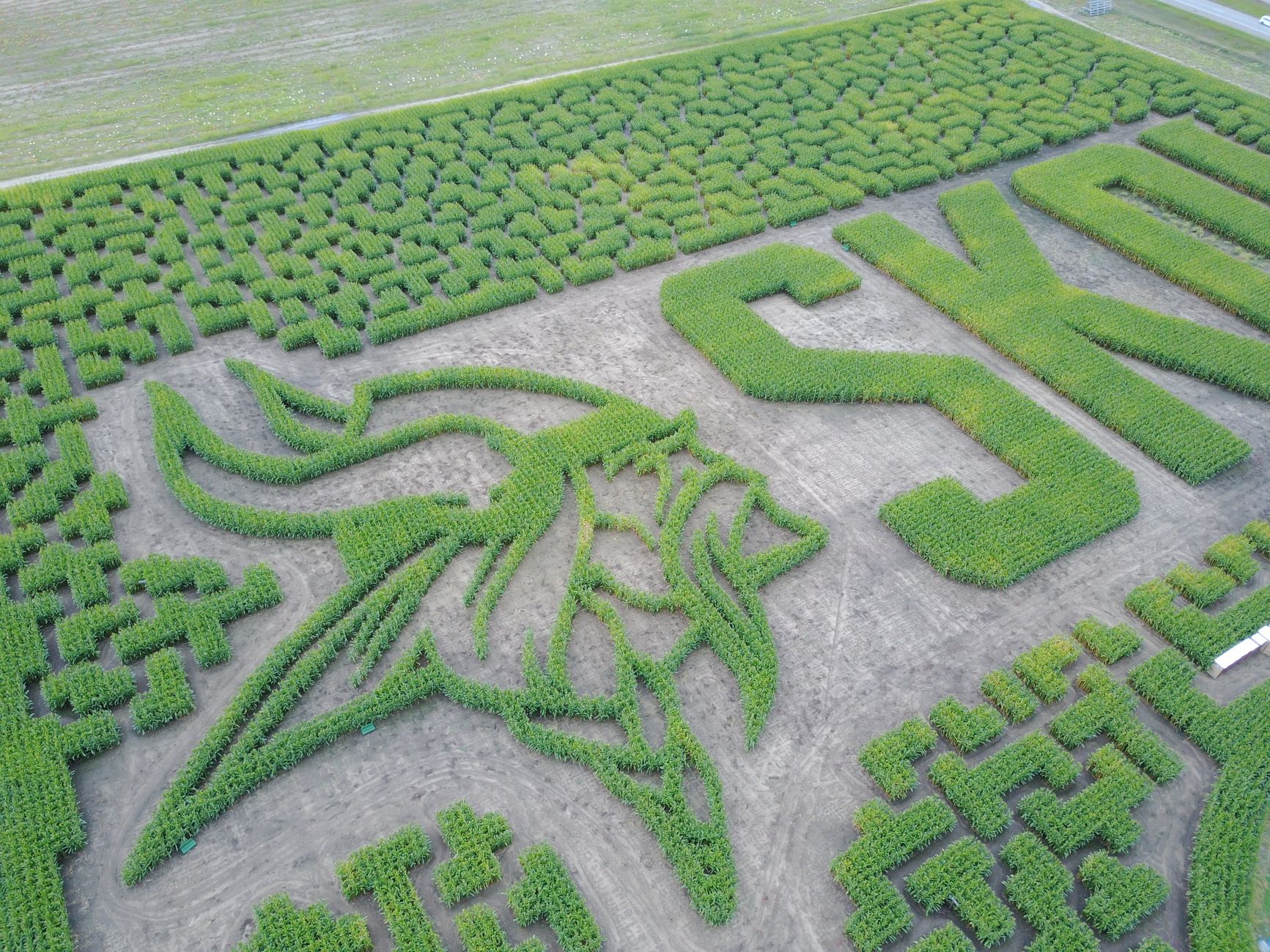Get Lost (and Have a Blast!) at The Morgan Maze This Fall! photo