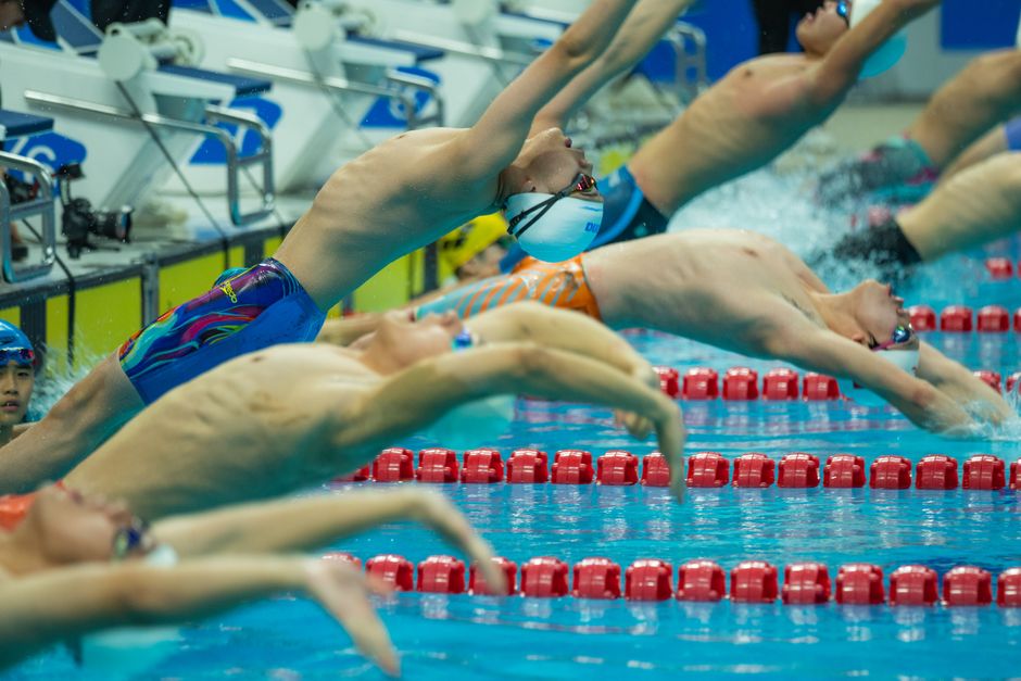 アスリートたちが活気あふれる水泳競技でプールに飛び込んでいます。