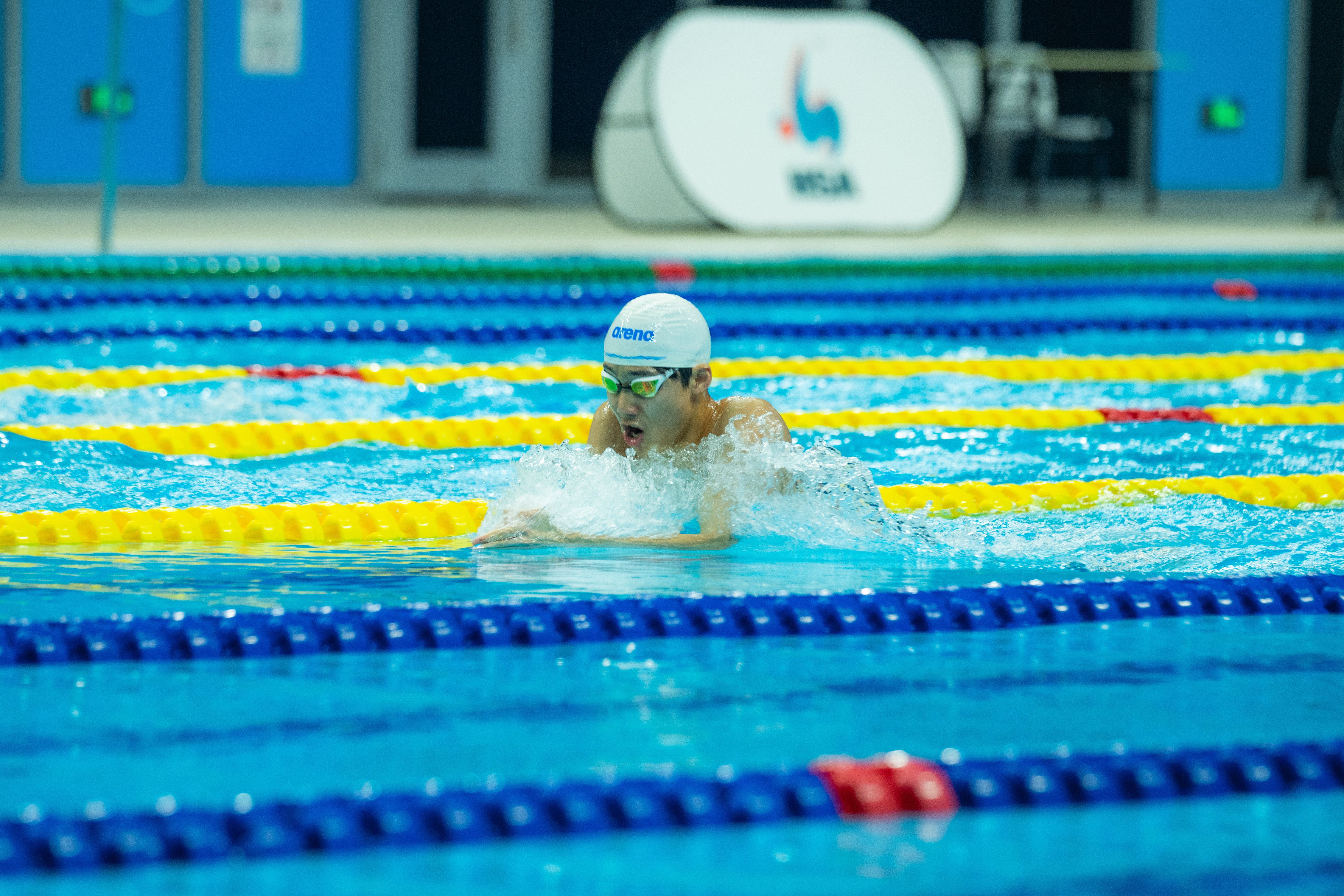 Professional Swimmer Competing in Indoor Pool · Free Stock Photo