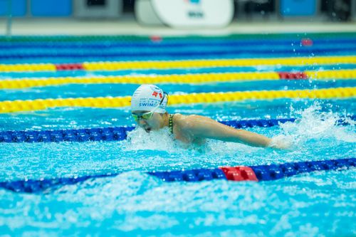 Free Swimmer competes in race, showcasing technique and determination in a vibrant swimming pool setting. Stock Photo