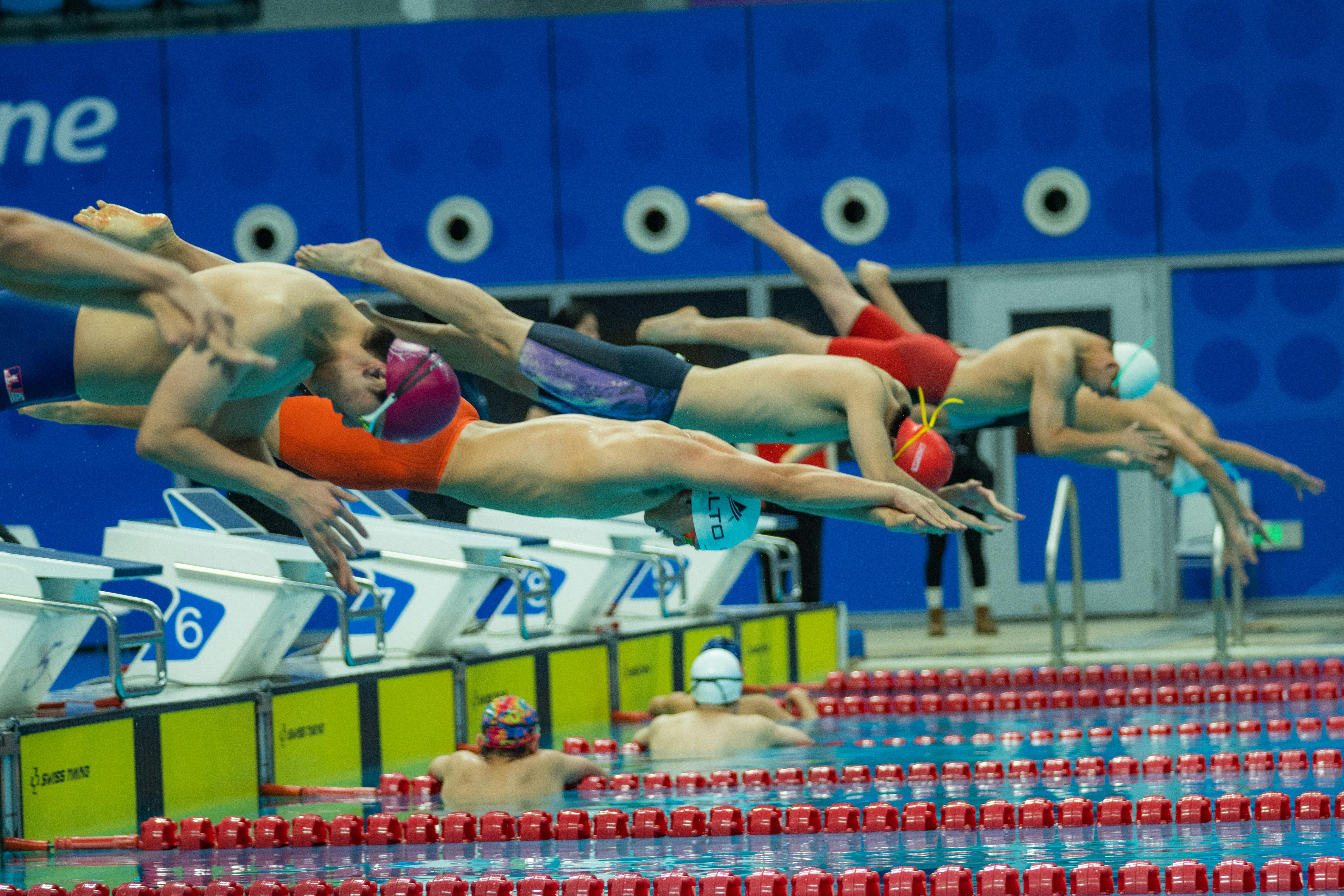 Free stock photo of swimming competition