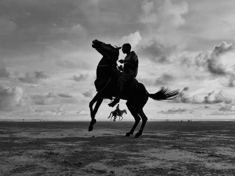 Dramatic black and white silhouette of a rider on a rearing horse at the beach during a cloudy day.