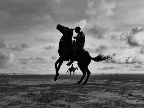 Free Dramatic black and white silhouette of a rider on a rearing horse at the beach during a cloudy day. Stock Photo