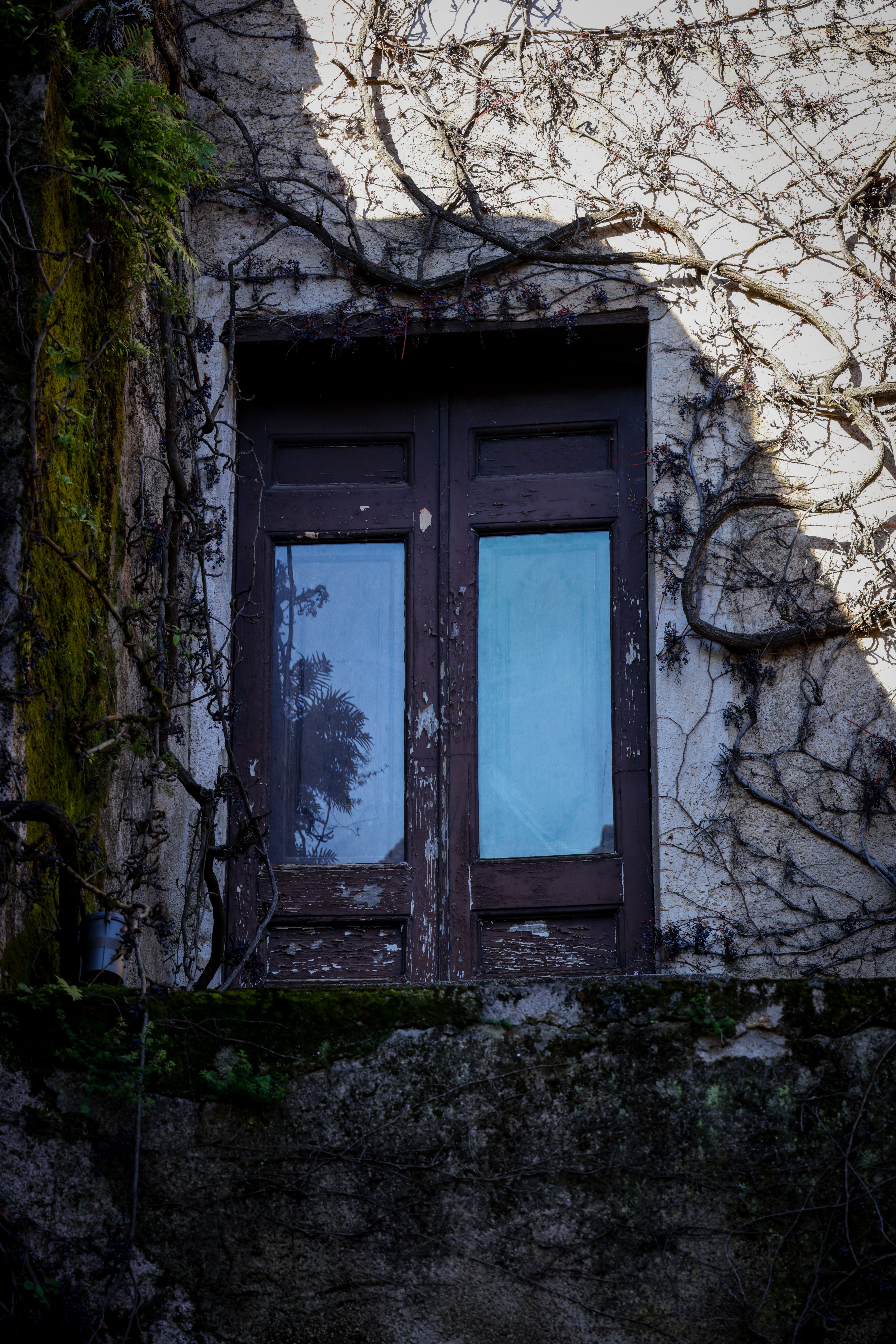 Charming Rustic Window in Old Italian Village · Free Stock Photo