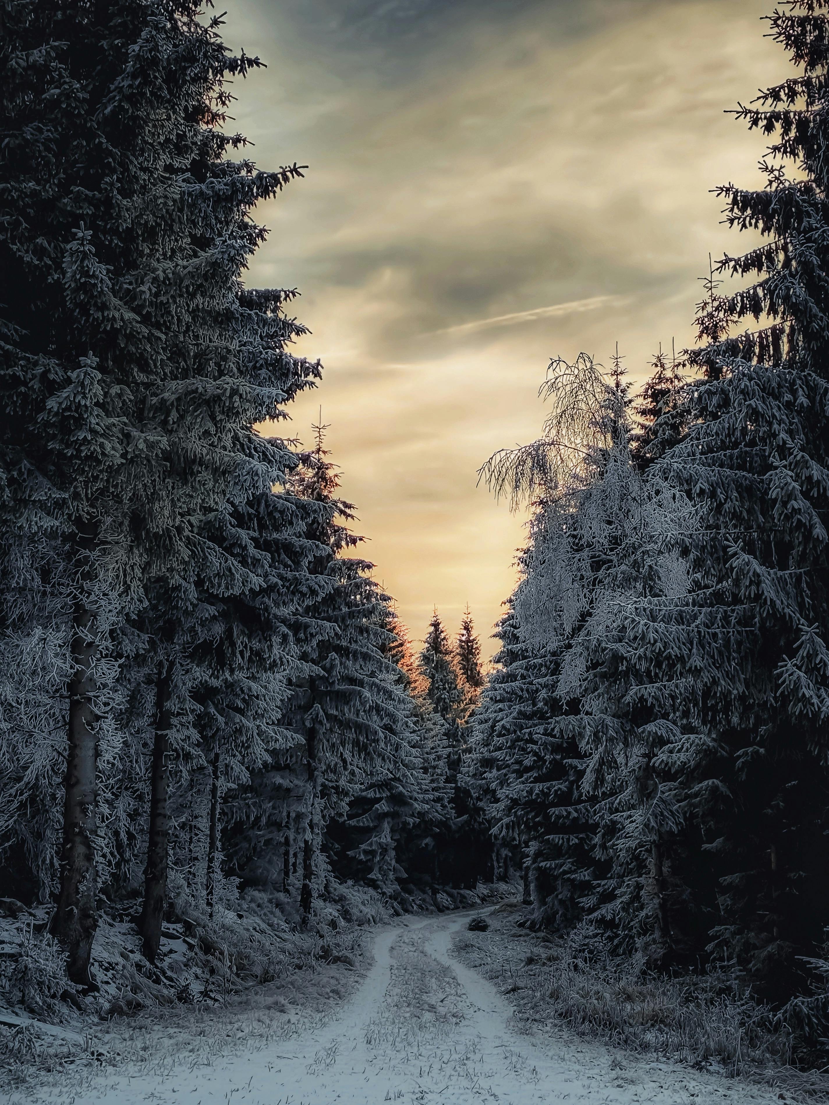 8.000+ melhores imagens de Plumpy+mage+++在线+视频+黑料 · Download 100% ...