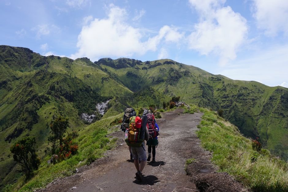 Essential Guide to Hiking Trails in Nigeria's National Parks