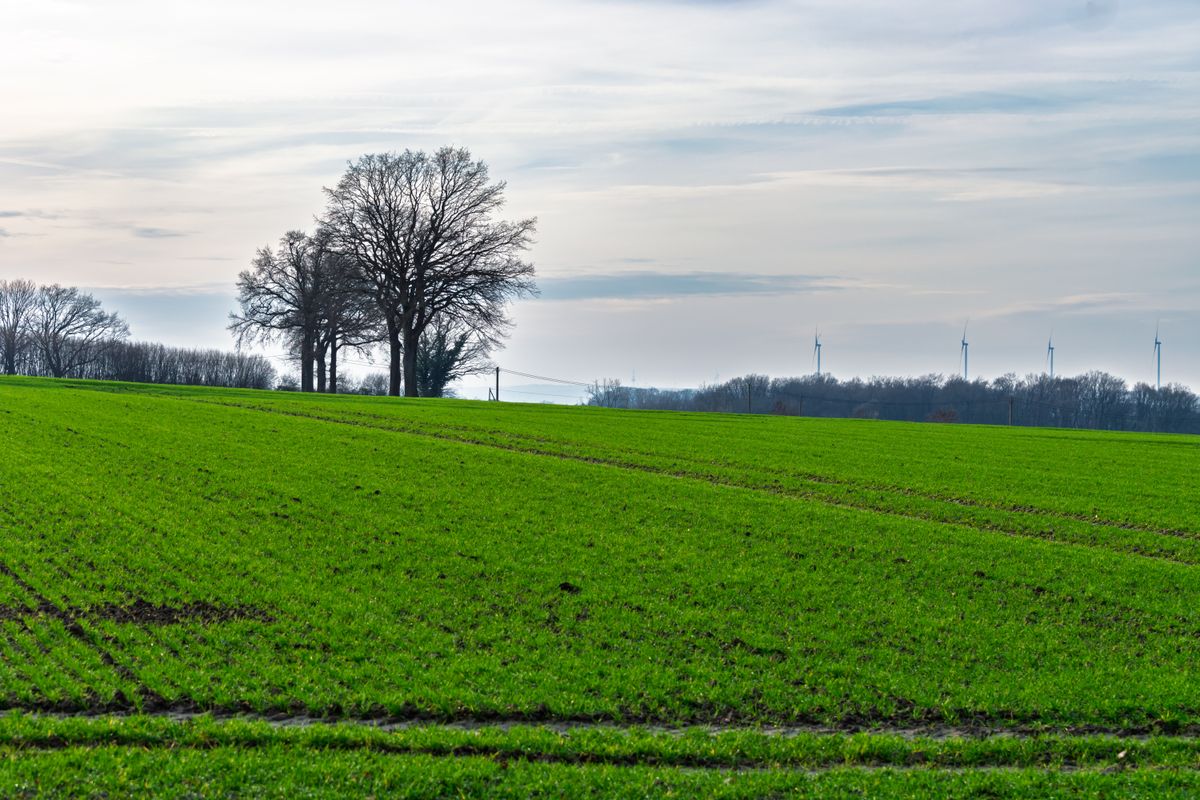 L'ombre de l'IA générative : quand la création devient une arme