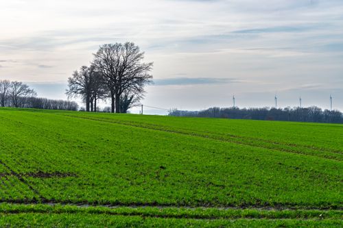 Free A peaceful green field with distant wind turbines under a cloudy sky, evoking sustainability. Stock Photo