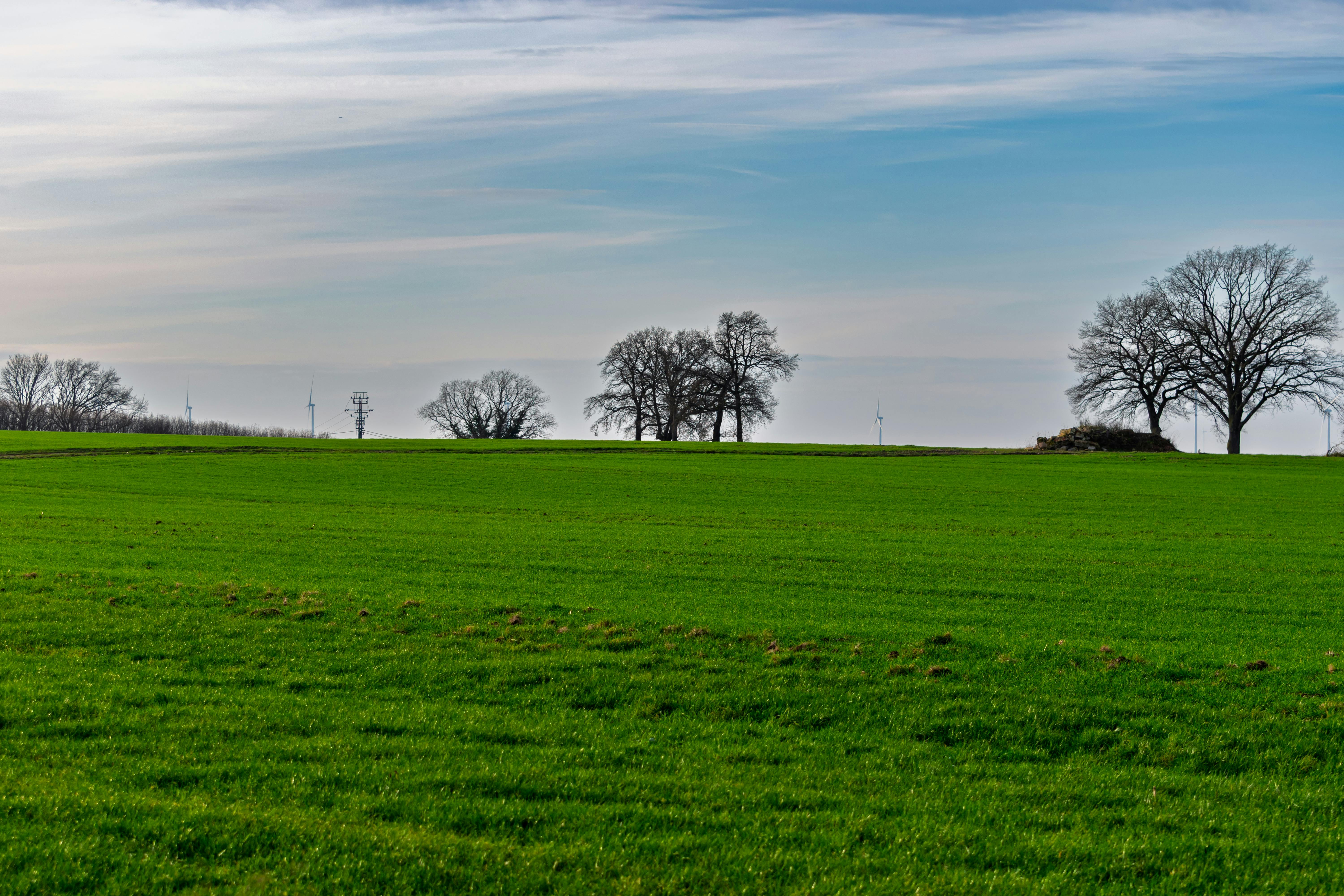 Cum am transformat livingul într-un spațiu cozy pentru iarnă