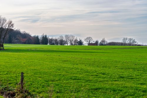 Free Vast green field under cloudy sky, adorned with a distant rustic house and leafless trees in winter. Stock Photo