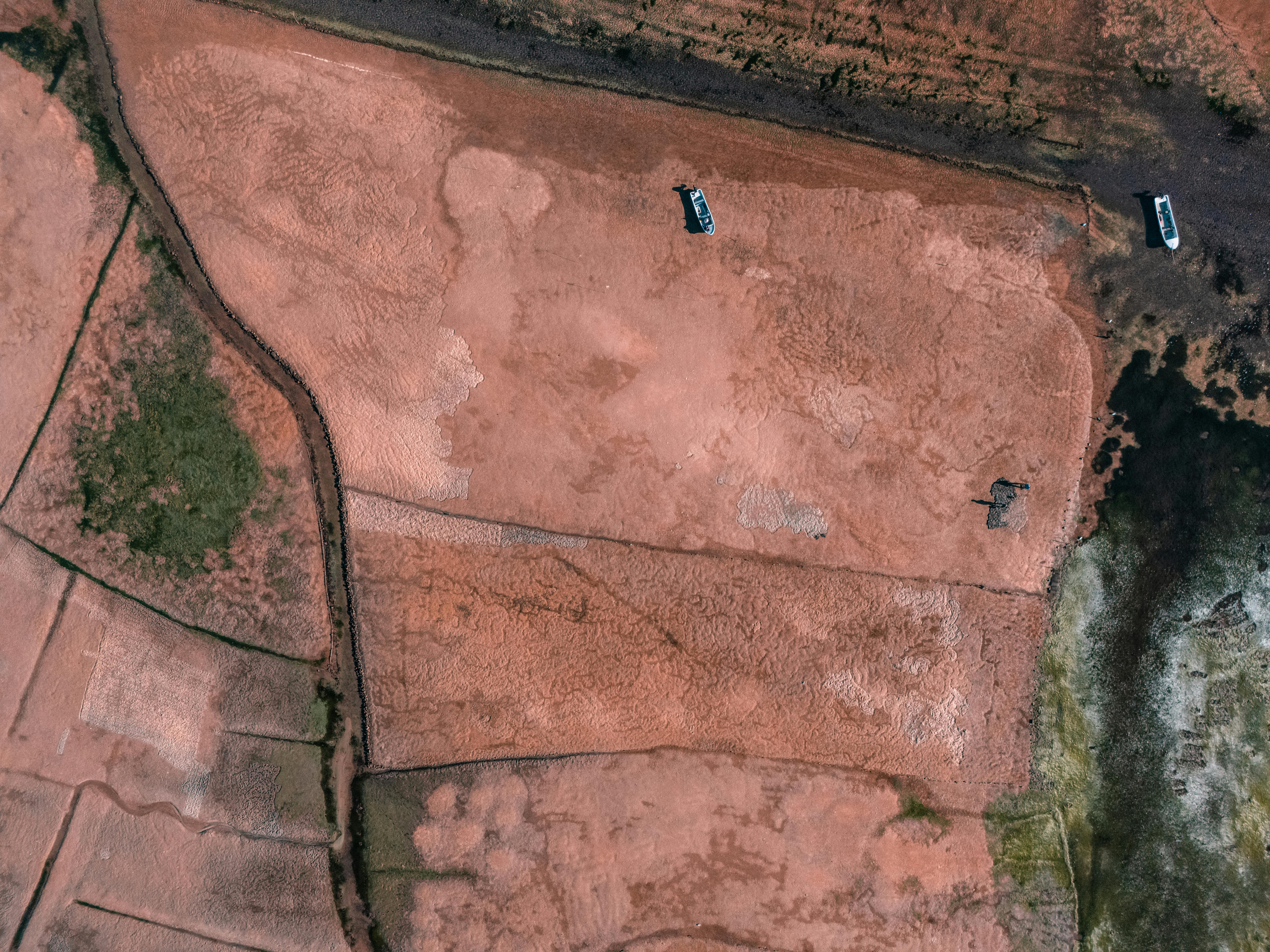 pexels-photo-35441329.jpeg?auto=compress&cs=tinysrgb&h=650&w=940