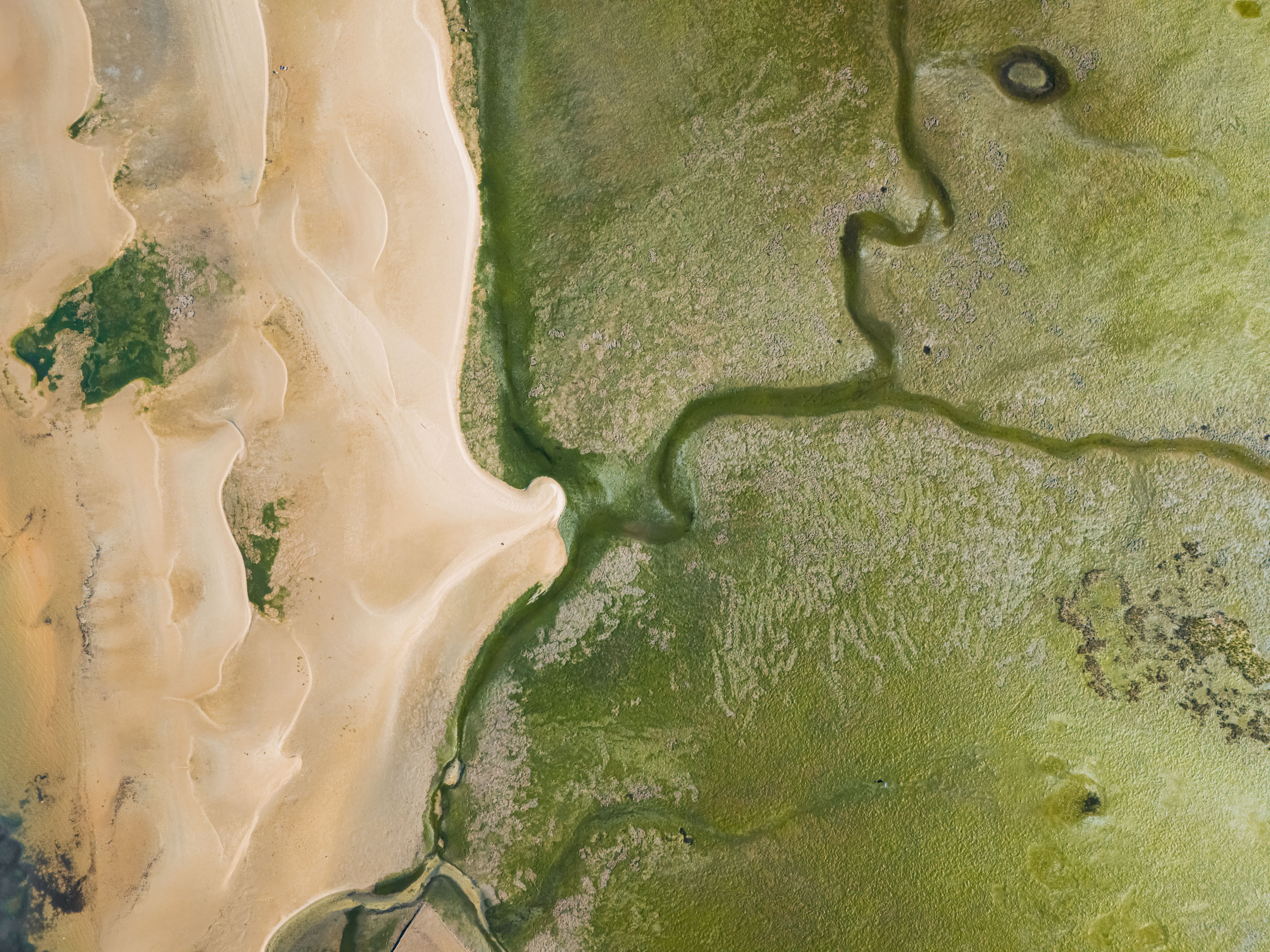 Marshland Texture Photos, Download The BEST Free Marshland Texture ...
