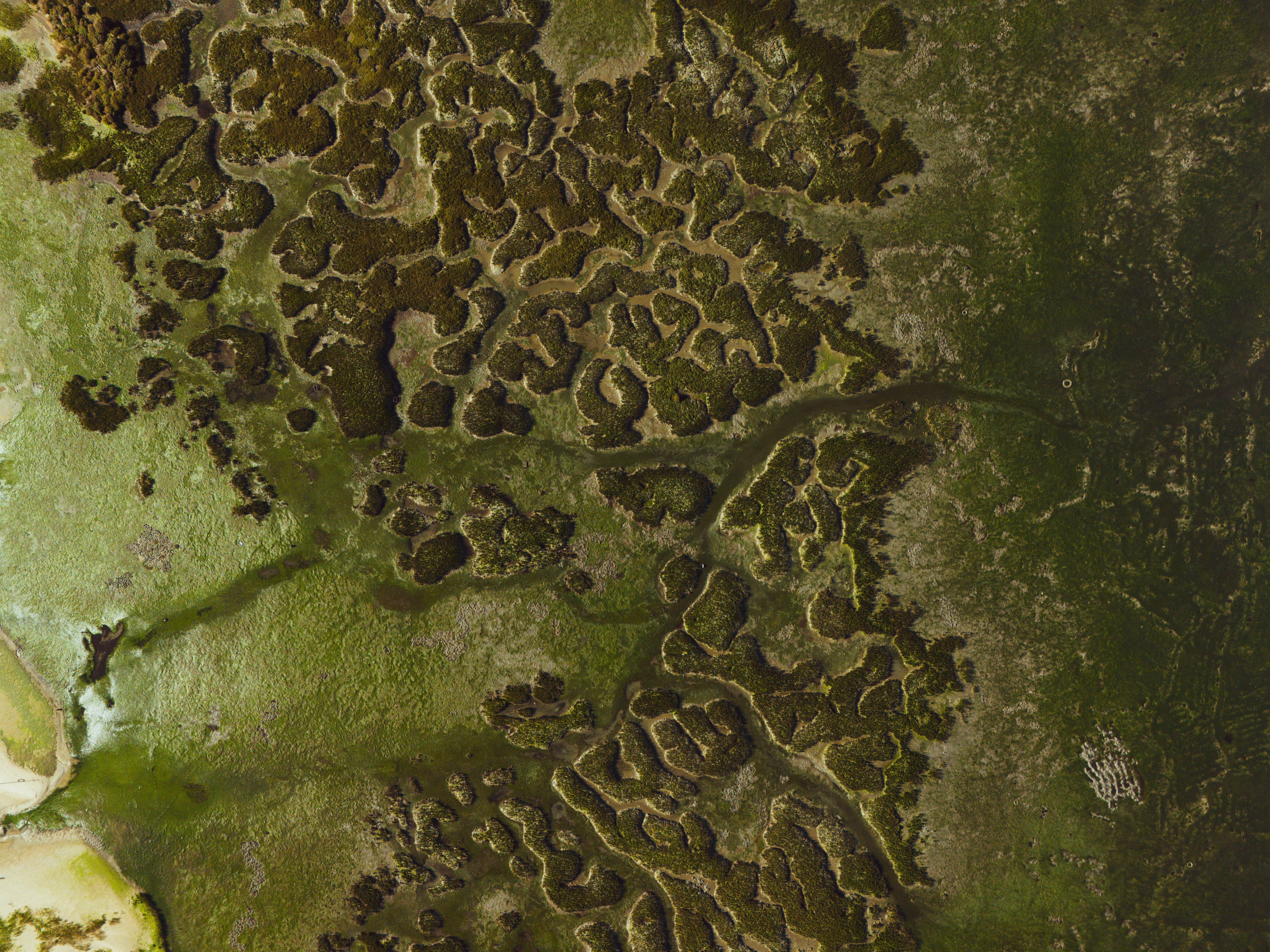 ฟรี สำรวจรูปแบบที่ซับซ้อนของที่ลุ่มใน Olhão ประเทศโปรตุเกส จากมุมมองทางอากาศ คลังภาพถ่าย