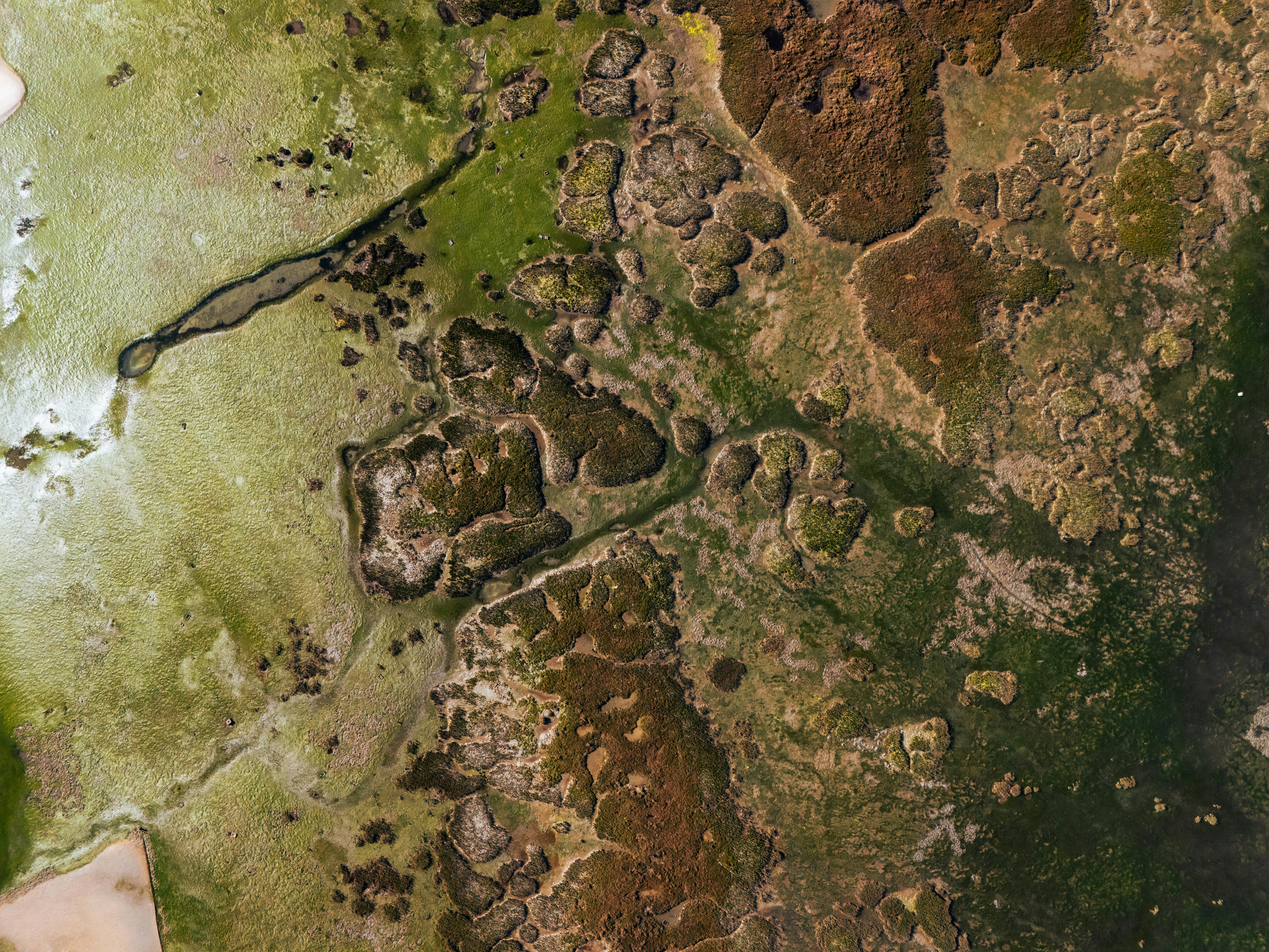 Kostnadsfria Fantastisk flygbild av träskmarker i Olhão, Portugal, som visar upp naturliga texturer och färger. Stock foto