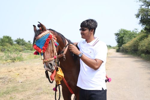 Free A man wearing sunglasses stands next to a decorated horse on a sunny countryside path. Stock Photo