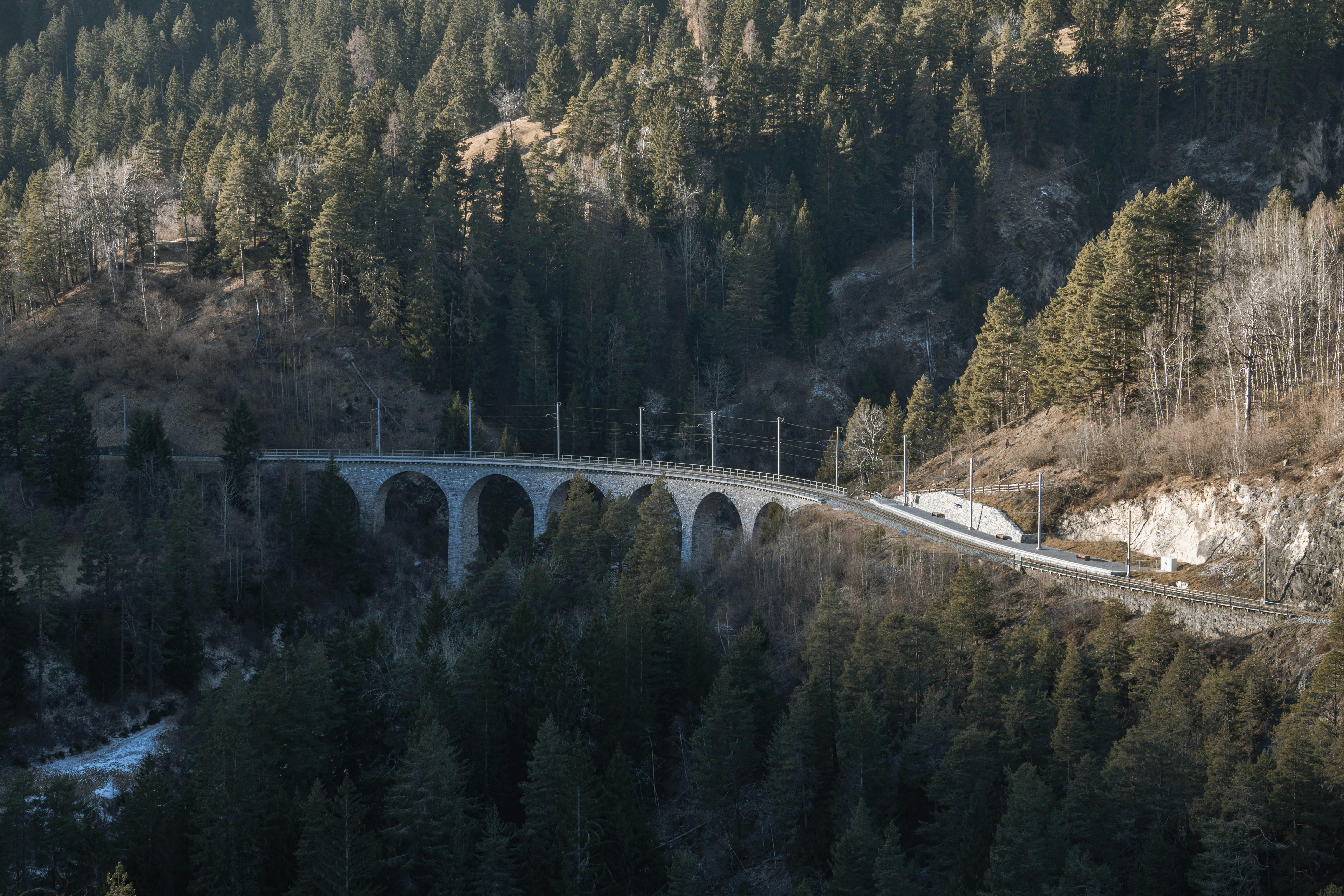 outdoor adventure, camping trip, nature reserve