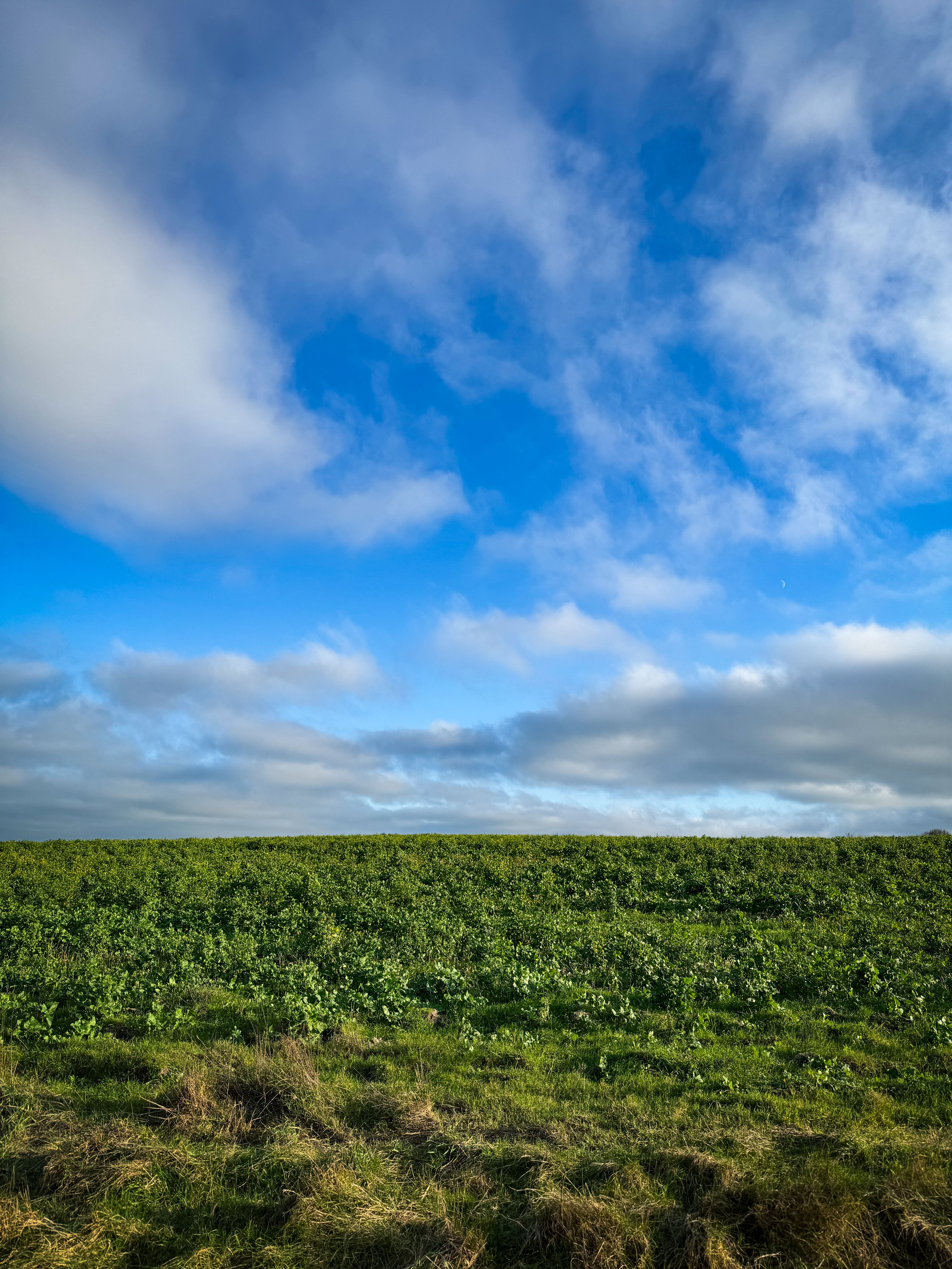 Idyllic Green Fields Under Bright Blue Sky in Heddington · Free Stock Photo