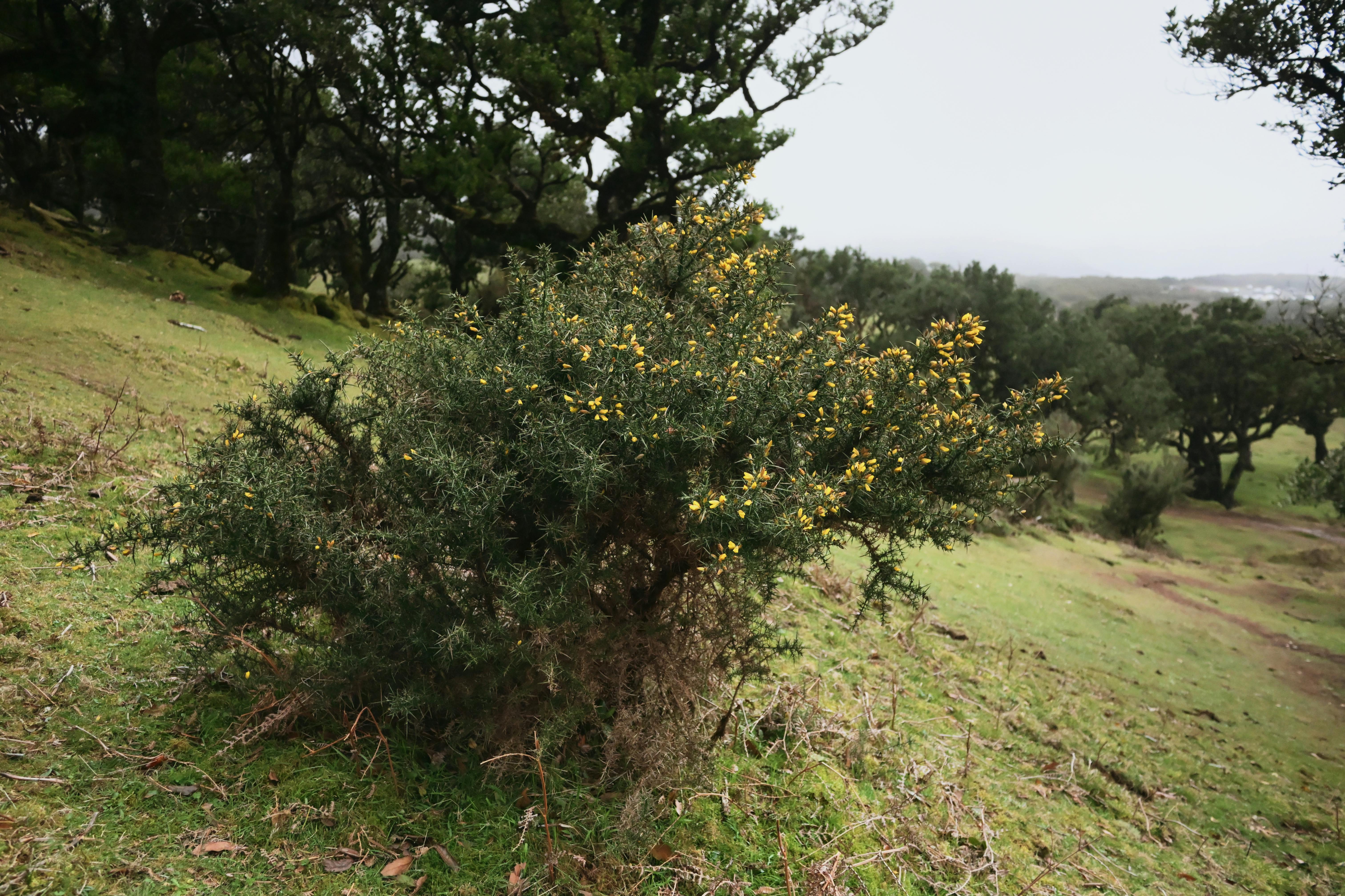 Discovering Sustainable Travel: Carbon Offset Adventures