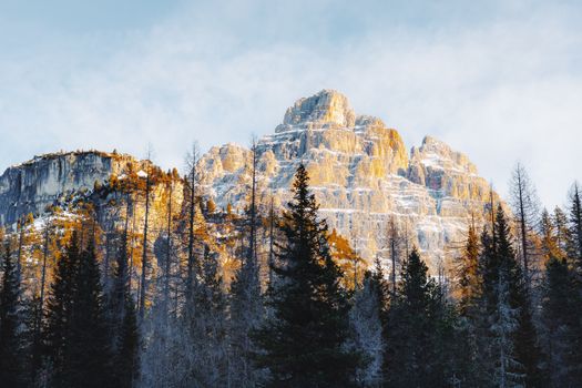 A stunning view of a snow-capped mountain and forest at sunrise, showcasing nature's beauty.
