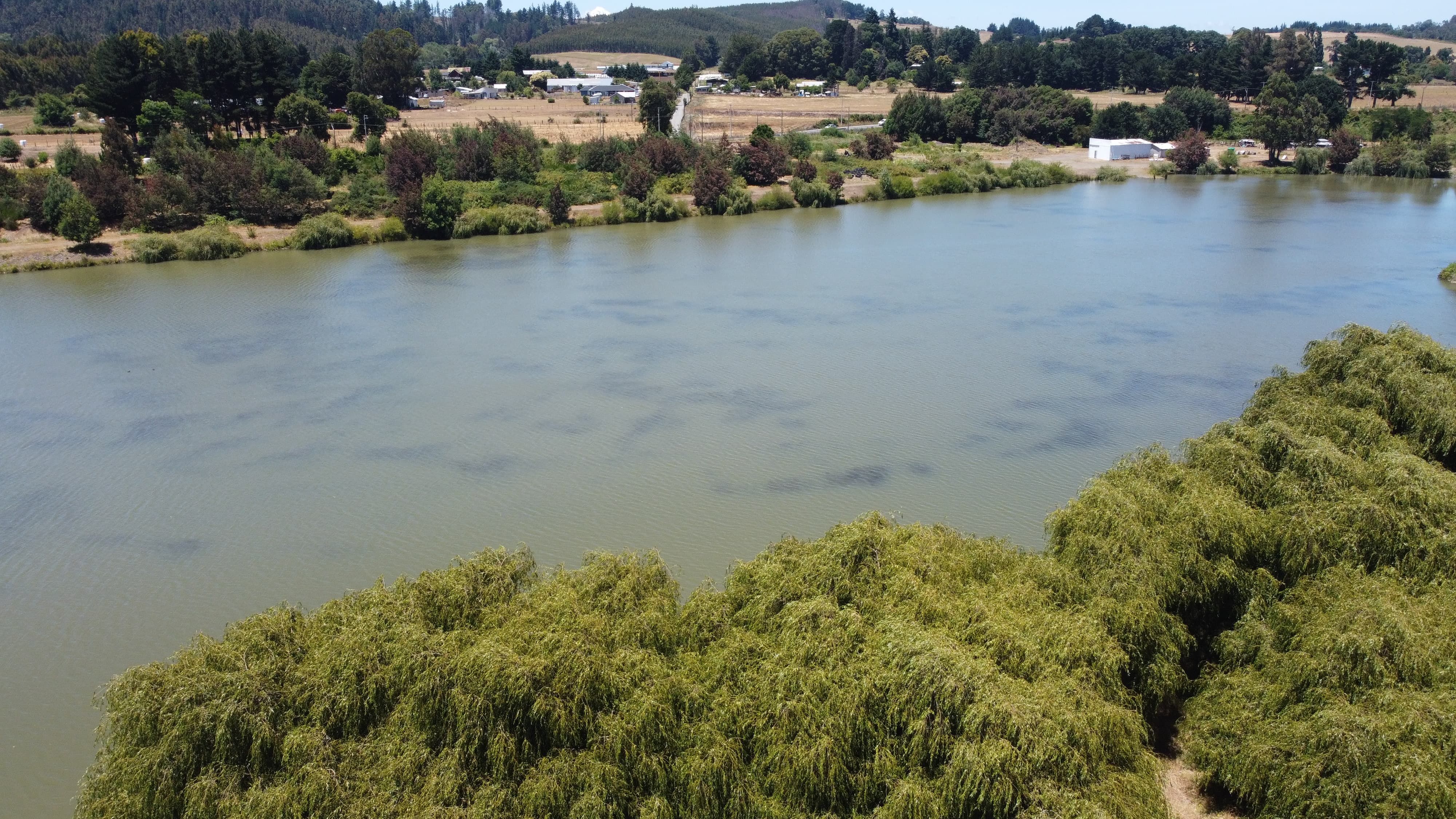 Serene river with lush greenery and rural buildings under a sunny blue sky.