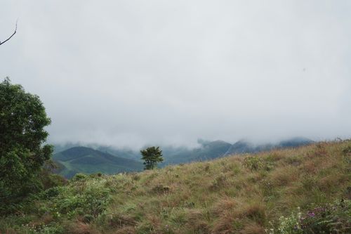 Free Peaceful mountain landscape with mist rolling over the hills and lush green meadow in the foreground. Stock Photo