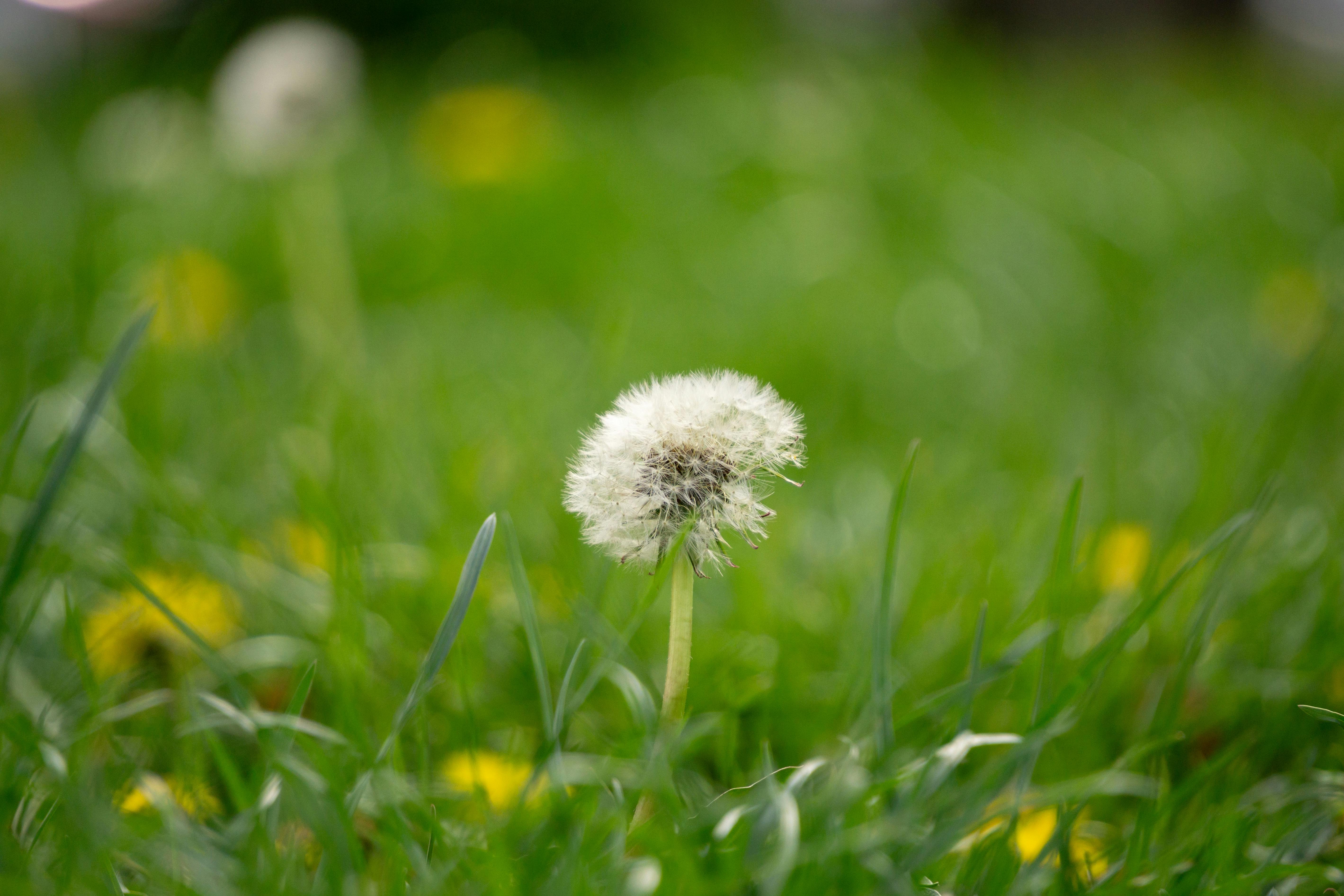 Peaceful seasonal landscape representing balance and natural rhythms