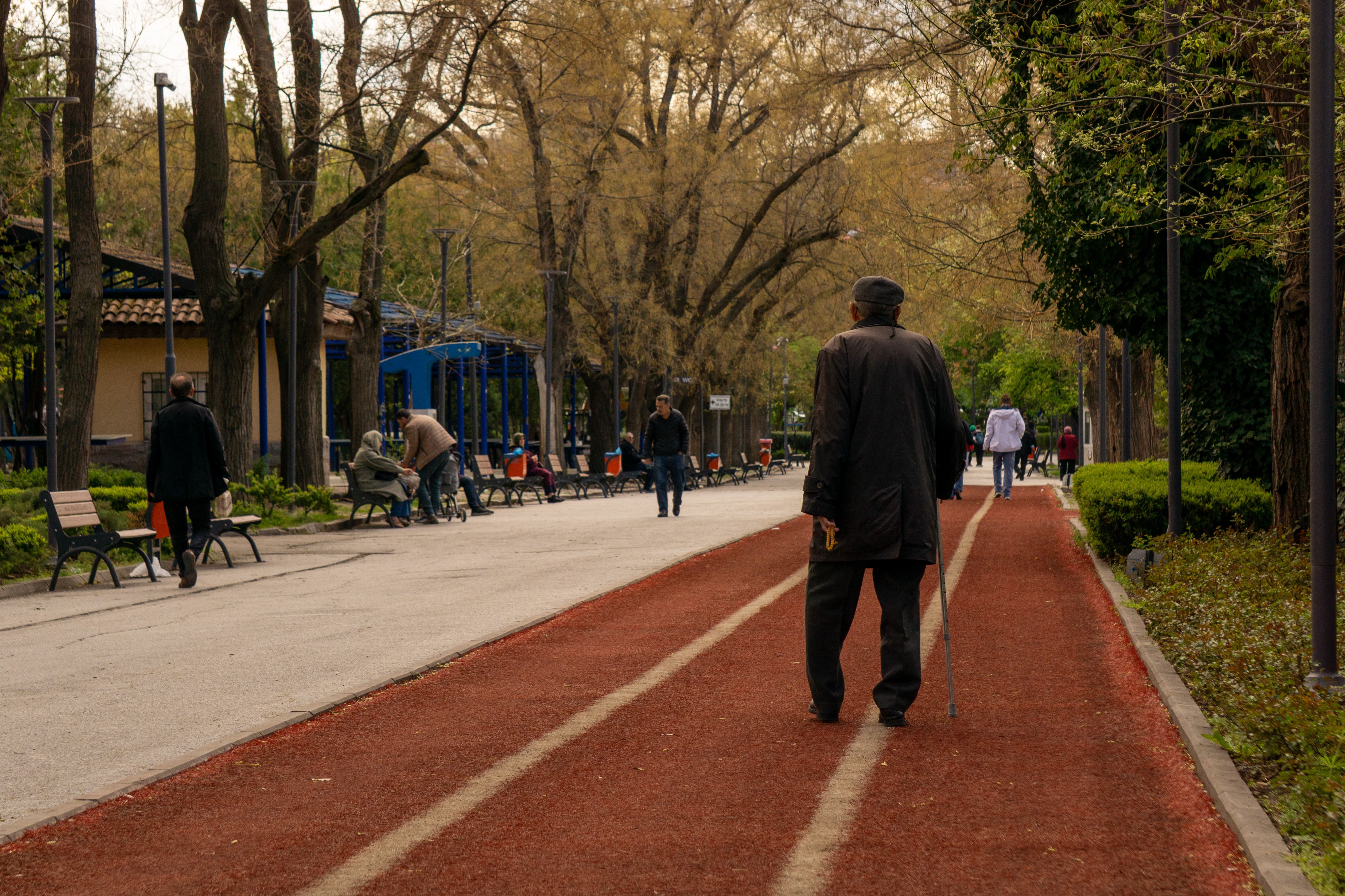 Elderly Man Walking in Serene Park Setting · Free Stock Ph…