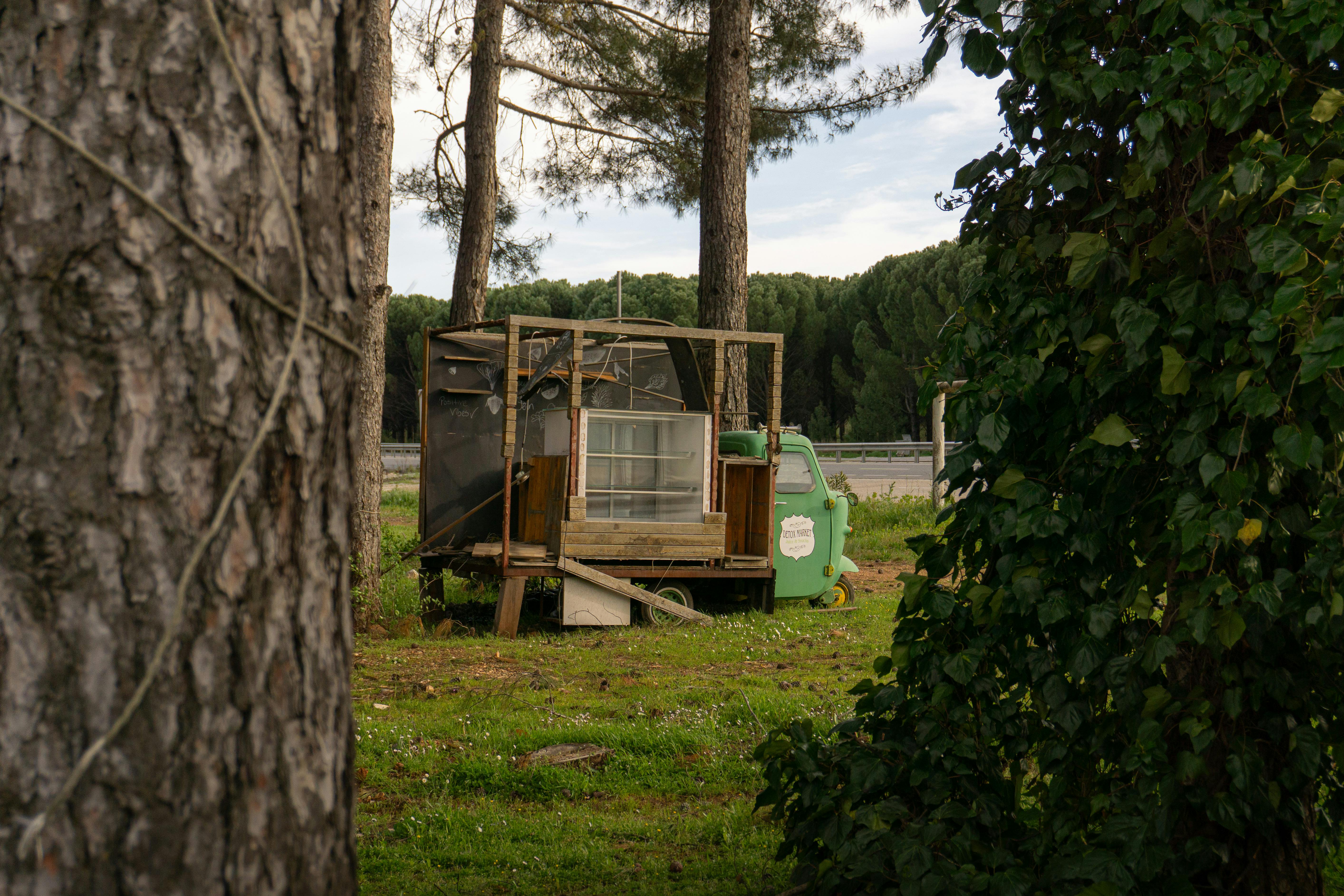 An old wooden shack surrounded by trees and greenery, offering a rustic outdoor scene.
