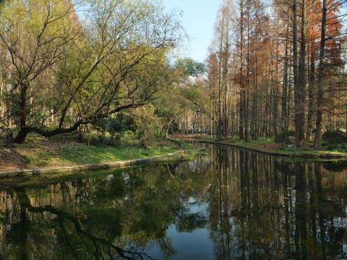 Free Serene forest lake with autumn trees reflecting in calm water, capturing seasonal beauty. Stock Photo