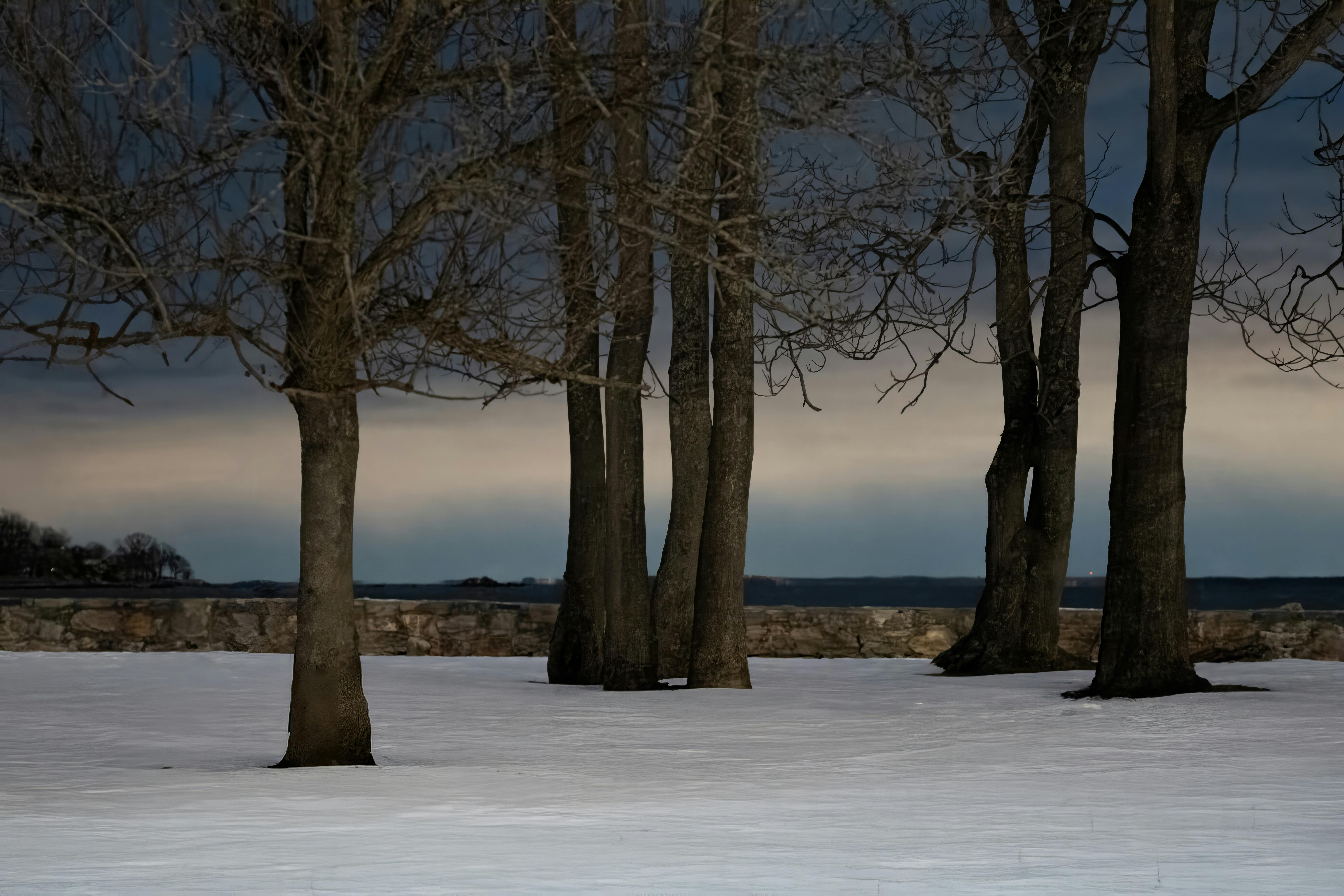 Northeast Arkansas Food Bank Gears Up for Annual Holiday Food Drive