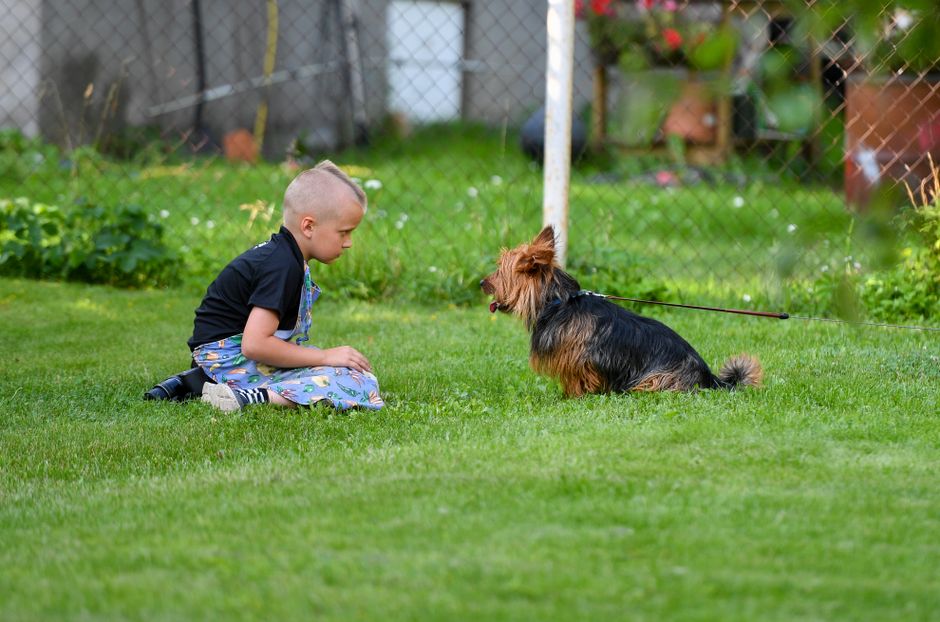safe pest control around children and pets