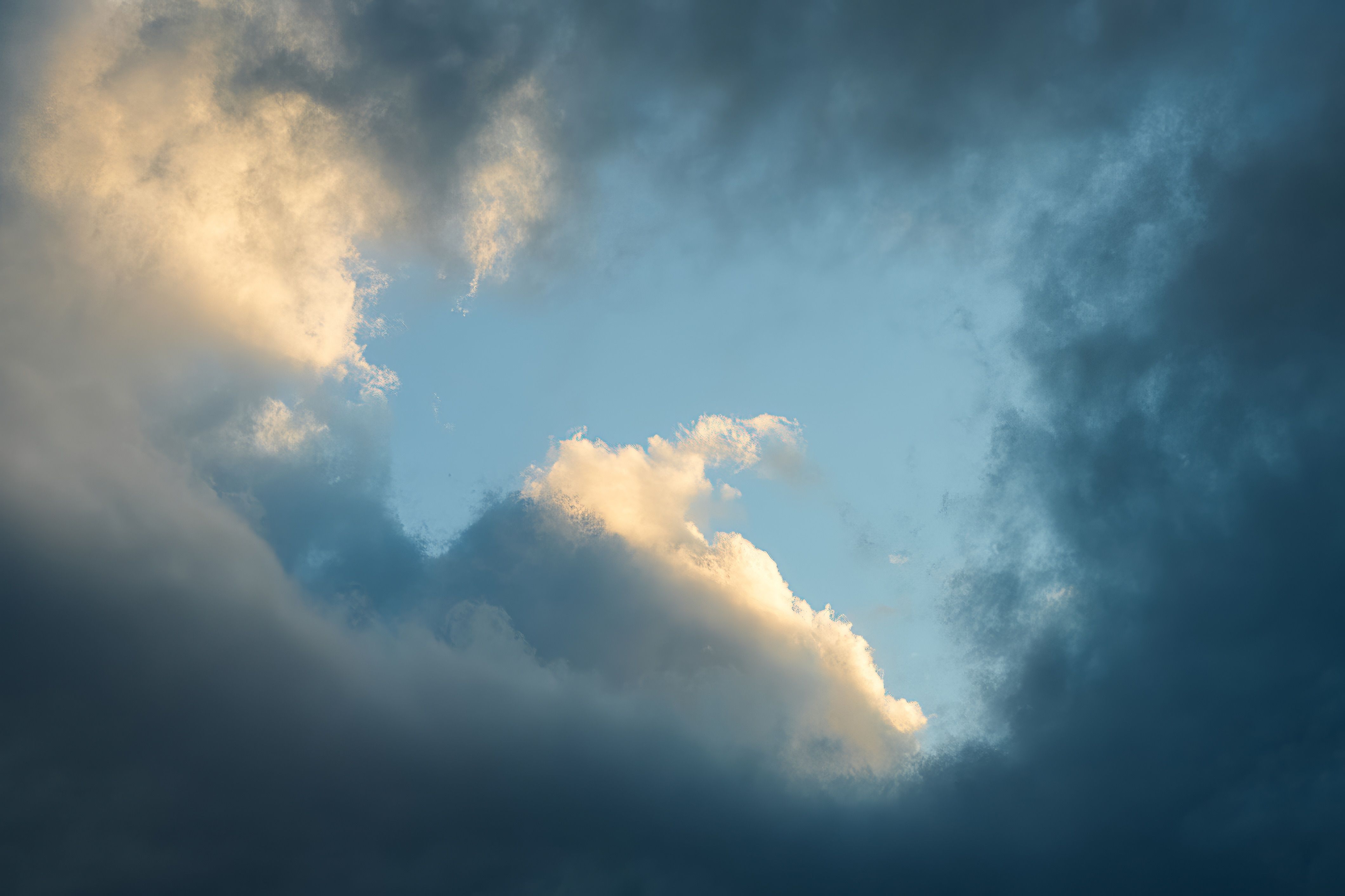 Daum portal, AI, cloud