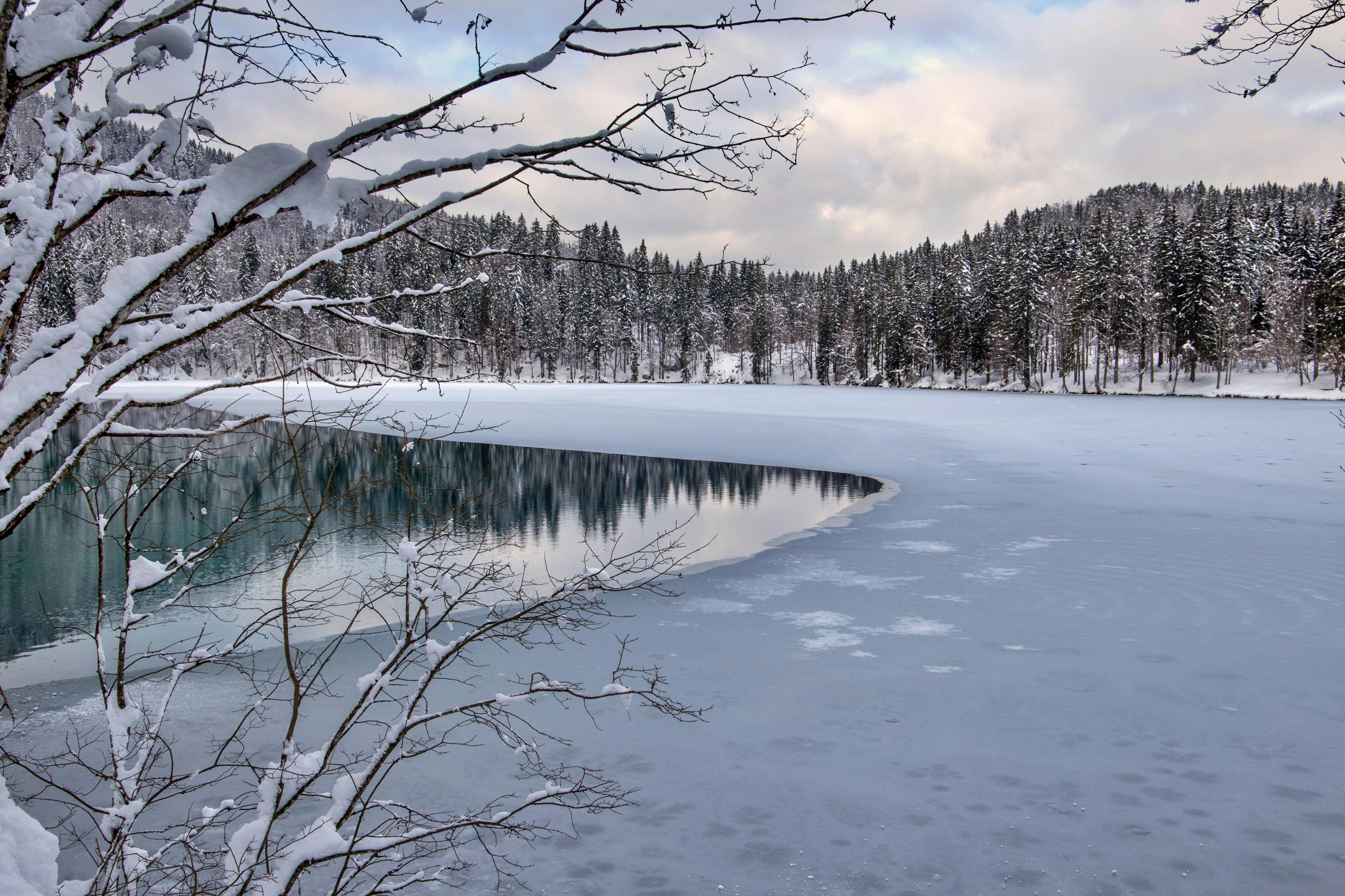 Scenic Winter Landscape with Snowy Lake and Trees · Free Stock Photo
