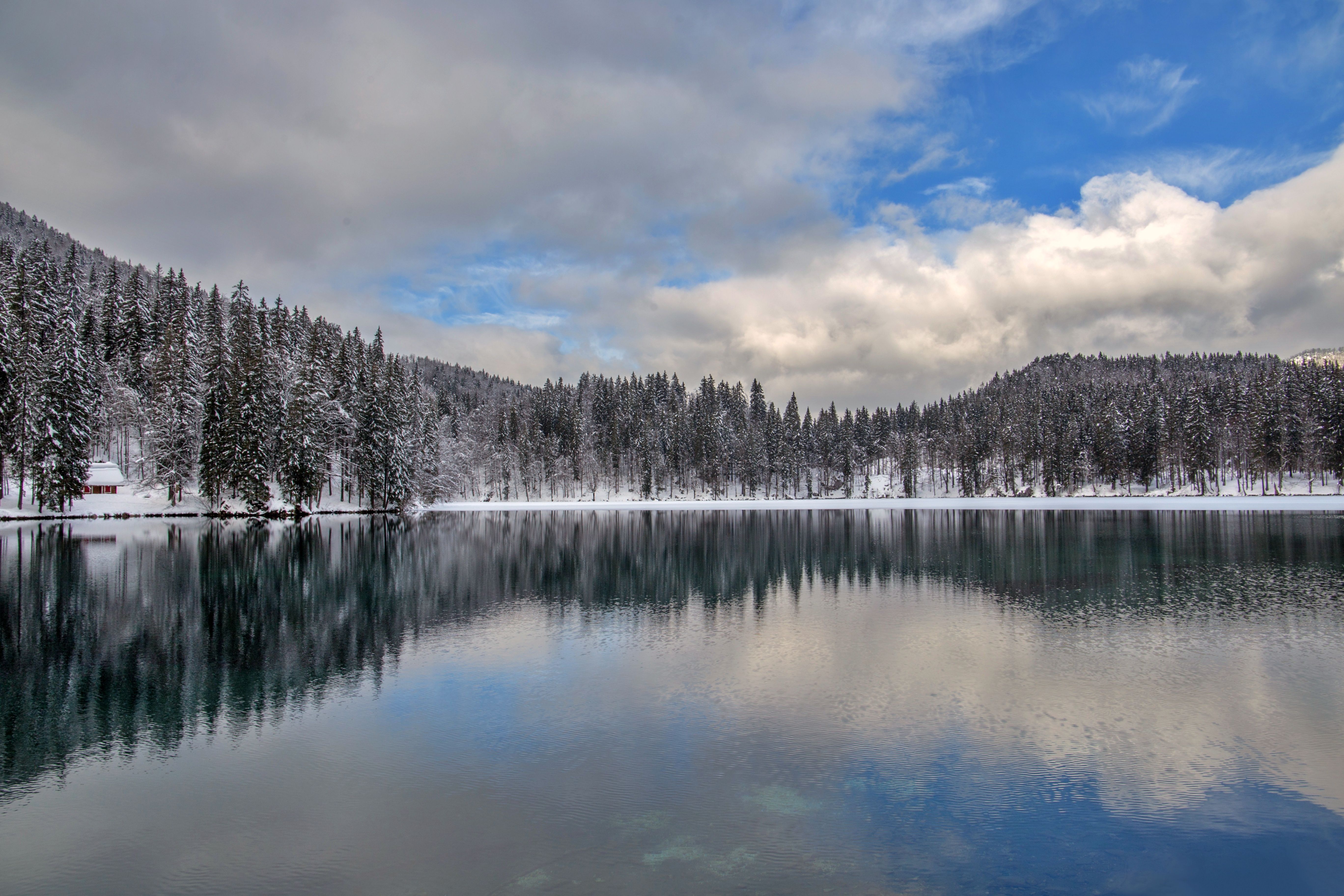 Snowy Pine Forest Reflected on Tranquil Lake · Free Stock Photo